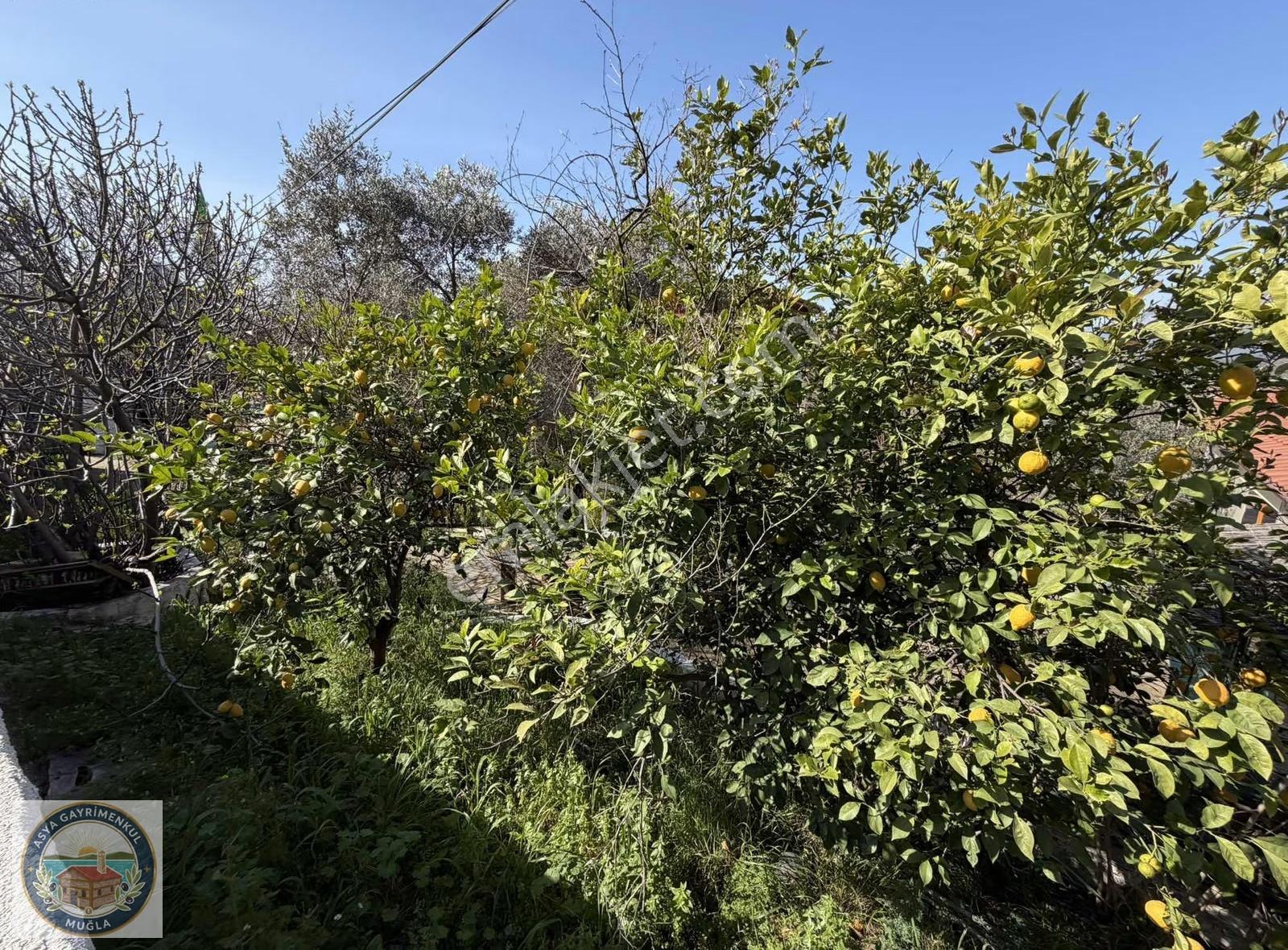 Muğla Ula Gökova'da Satılık İmarlı Deniz Manzaralı Arsa - Görsel 3