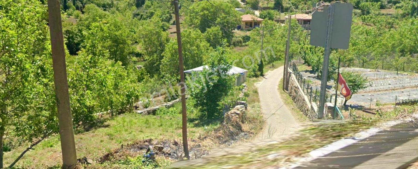 Erz'den Kemalpaşa Yeni Kurudere'de Tek Tapu Müstakil Meyve Bahçe - Görsel 4