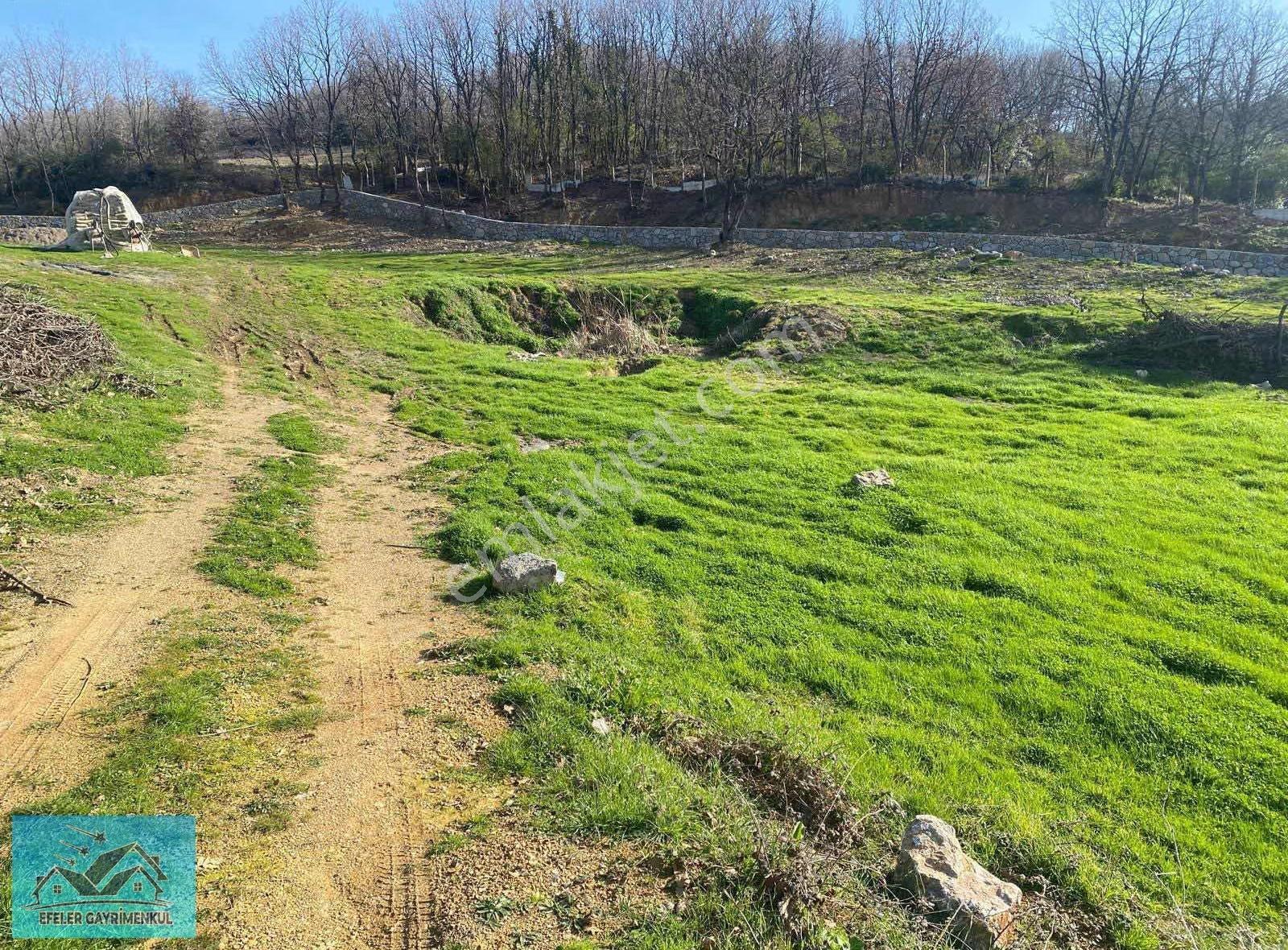 590 Mt Pendik Kurtdoğmuş Da Satılık Hisseli Yatırımlık Tarla - Görsel 4