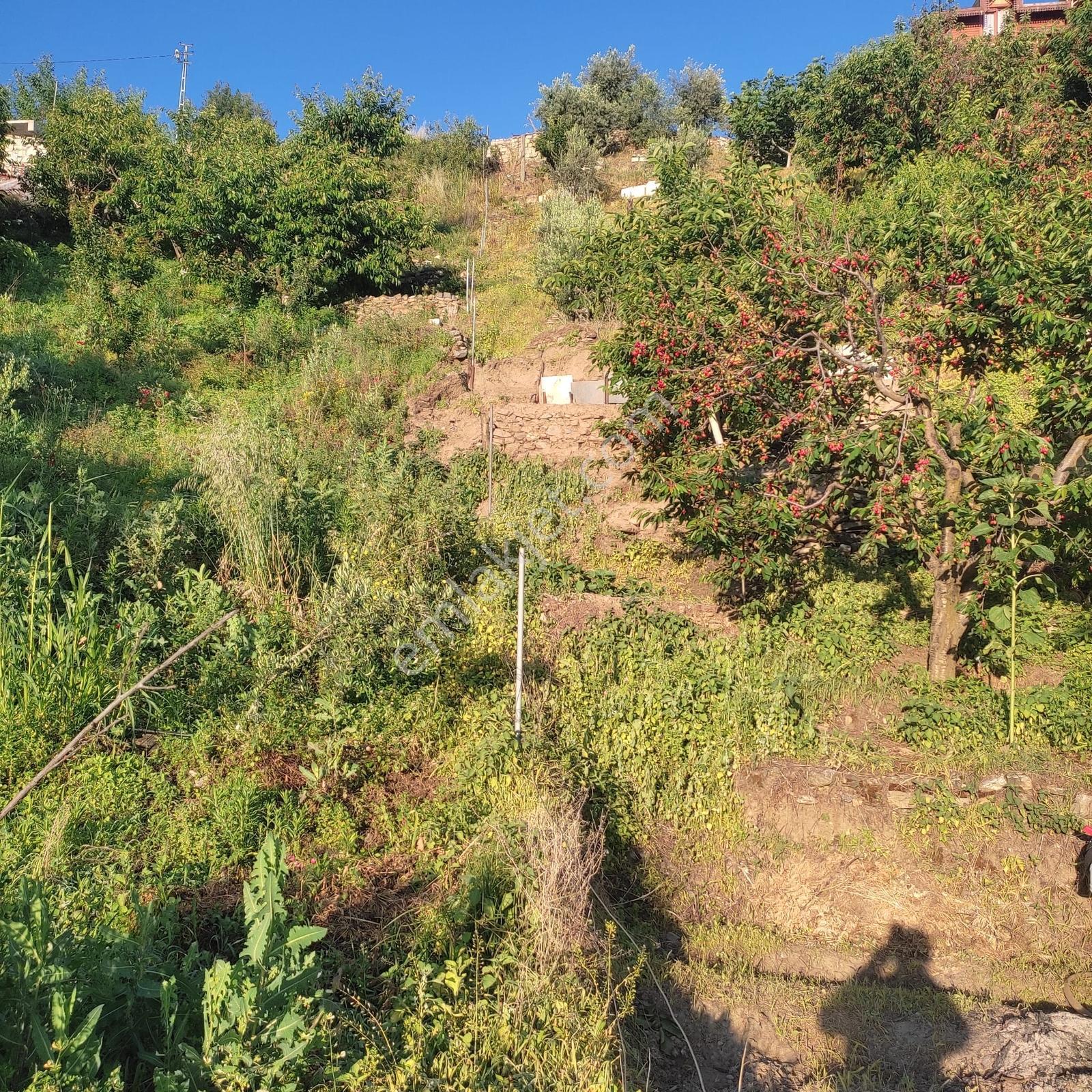 Salihli De Satılık Dağ Evi Ve Kiraz Bahçesi - Görsel 26
