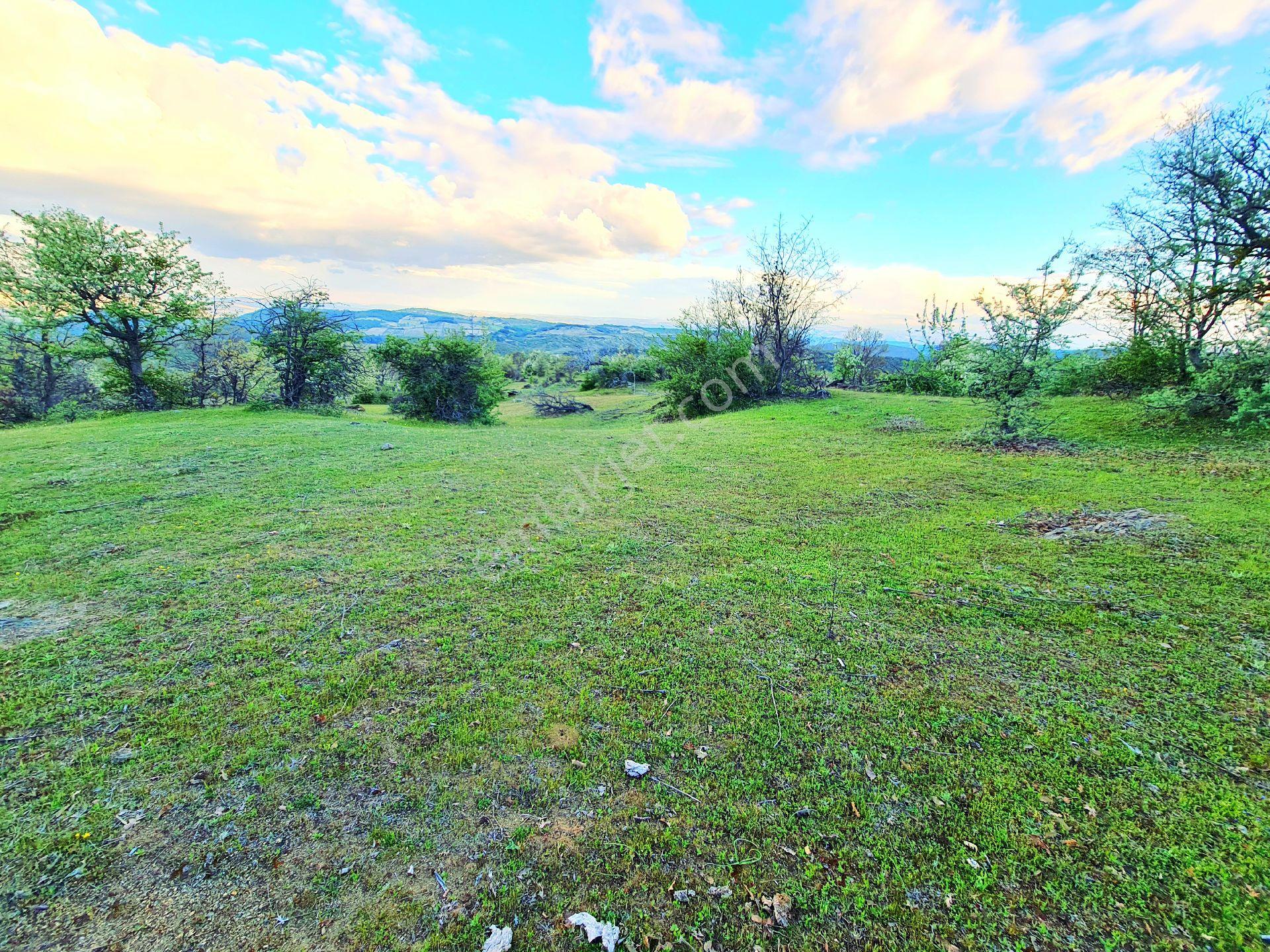 Manisa Demirci Bayramşah 3085m² Köye 500m Kupon Açıklamada Tapuda Buluşuyoruz - Görsel 10