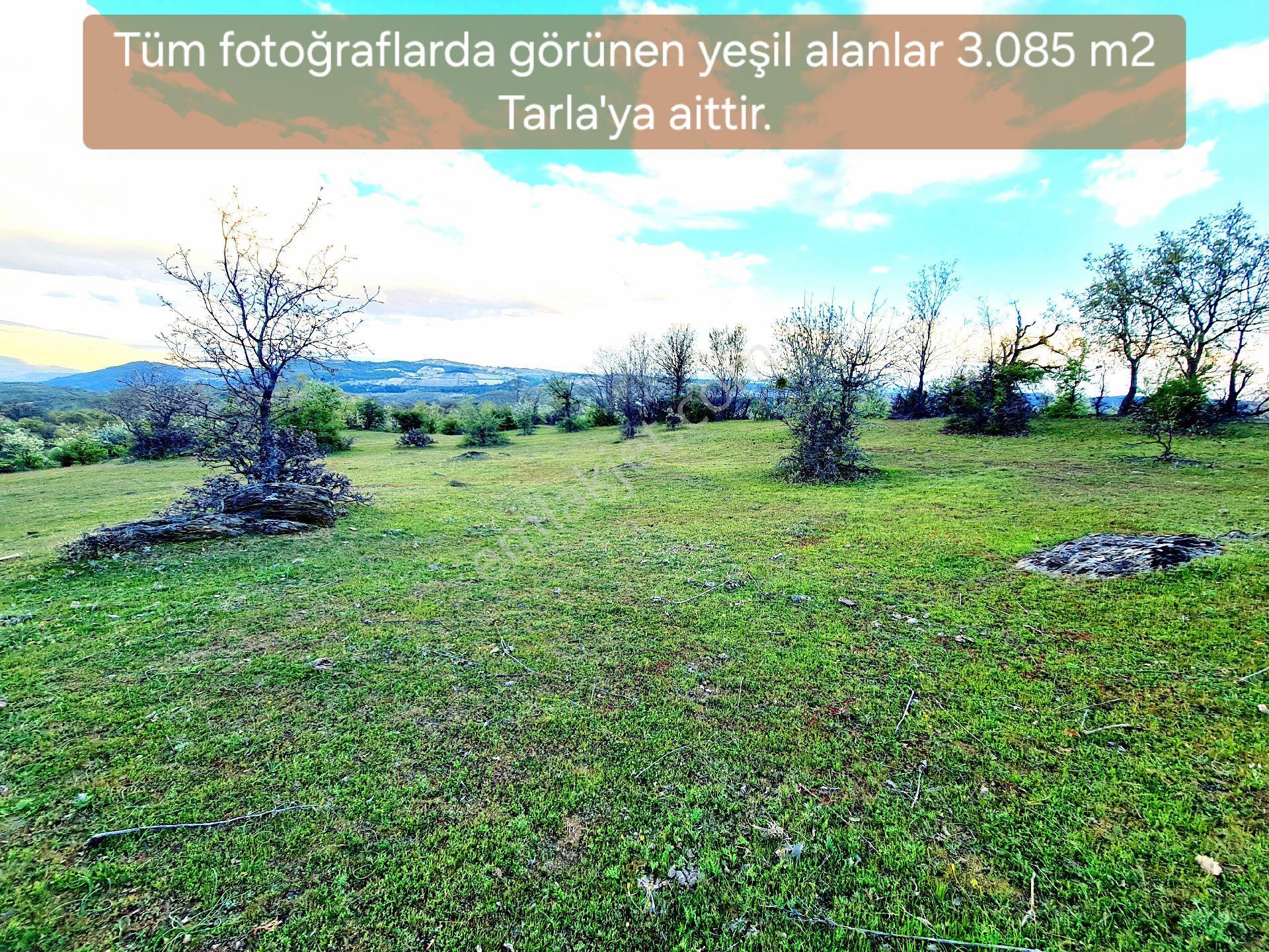 Manisa Demirci Bayramşah 3085m² Köye 500m Kupon Açıklamada Tapuda Buluşuyoruz - Görsel 8