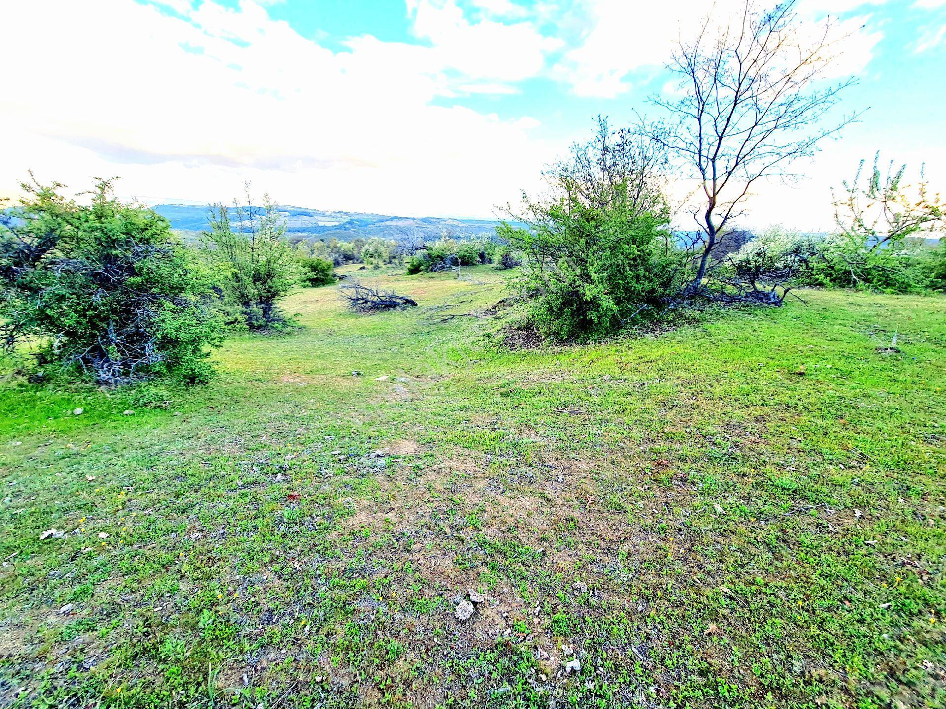 Manisa Demirci Bayramşah 3085m² Köye 500m Kupon Açıklamada Tapuda Buluşuyoruz - Görsel 11