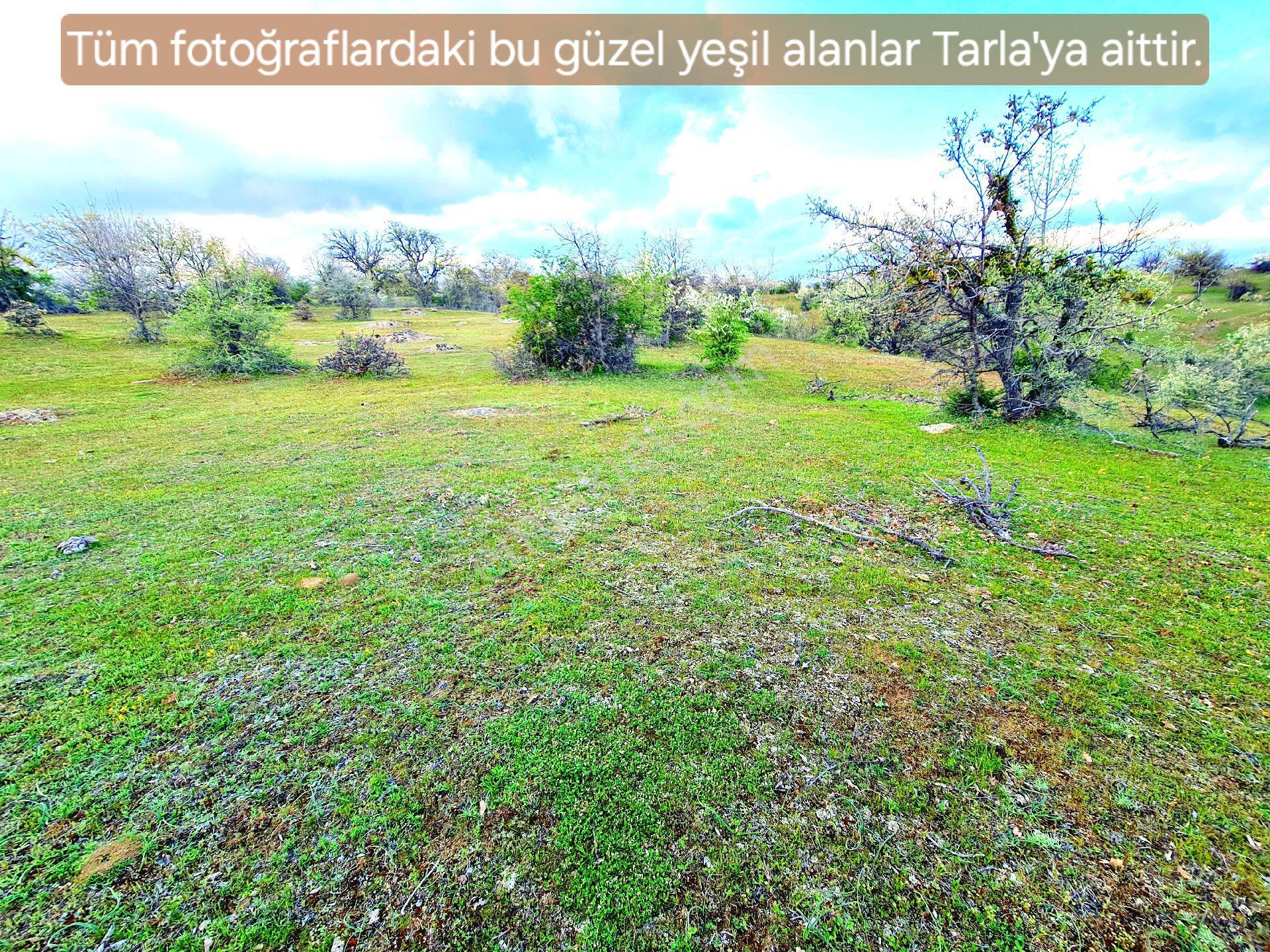 Manisa Demirci Bayramşah 3085m² Köye 500m Kupon Açıklamada Tapuda Buluşuyoruz - Görsel 17