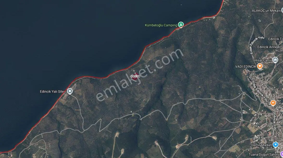Balıkesir Bandırma Edincik'te Denize Yakın 5116 M² Satılık Zeytinlik - Görsel 3