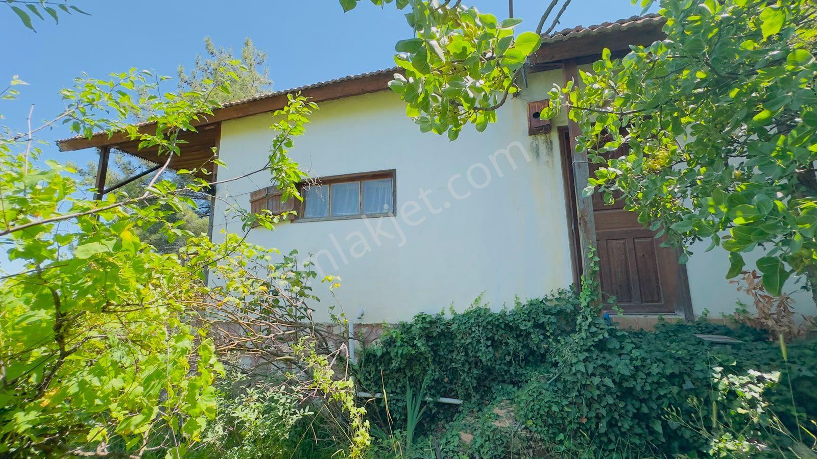 Deniz Manzaralı Kiralık Müstakil Ev - Görsel 4