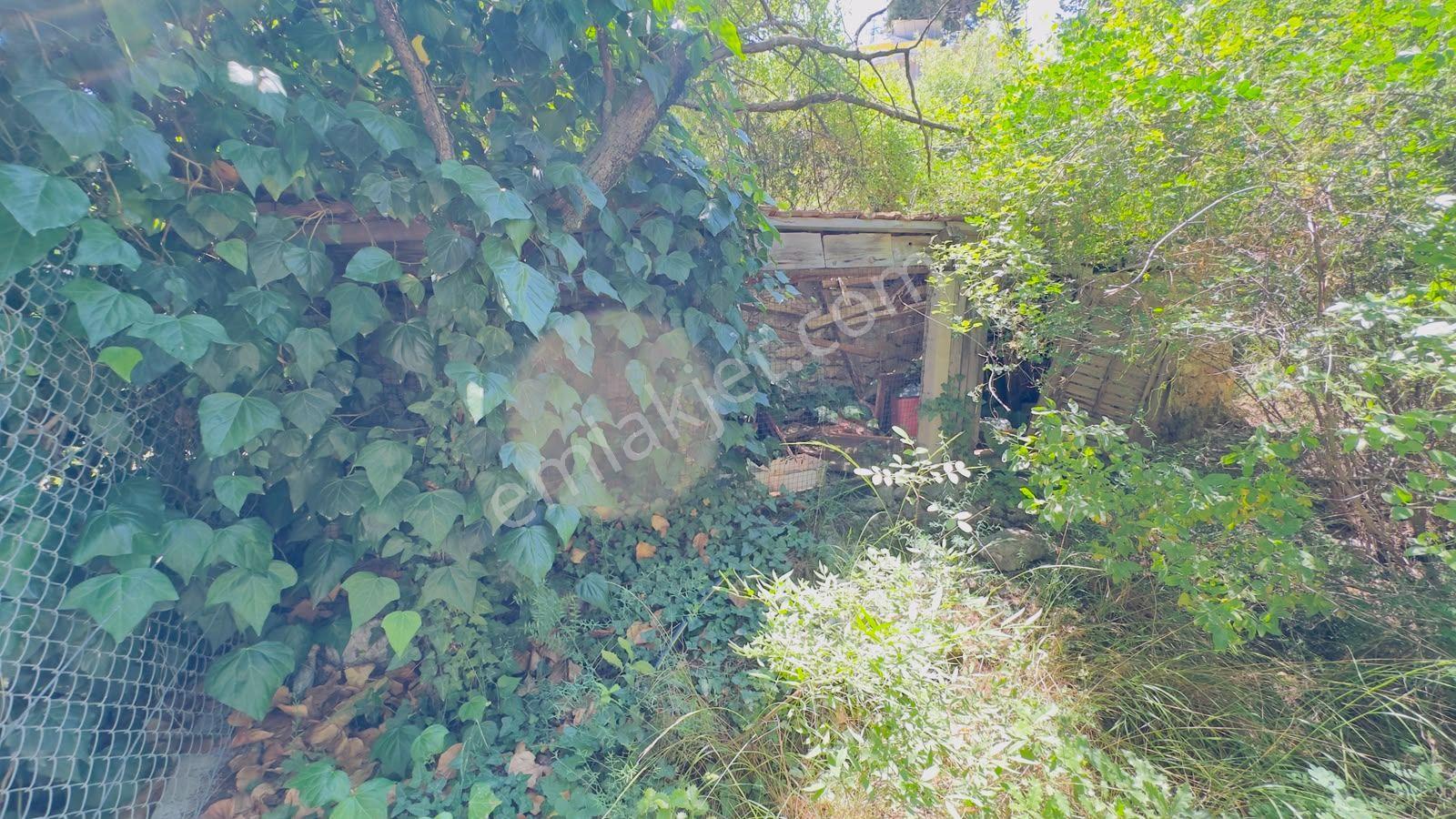 Deniz Manzaralı Kiralık Müstakil Ev - Görsel 25