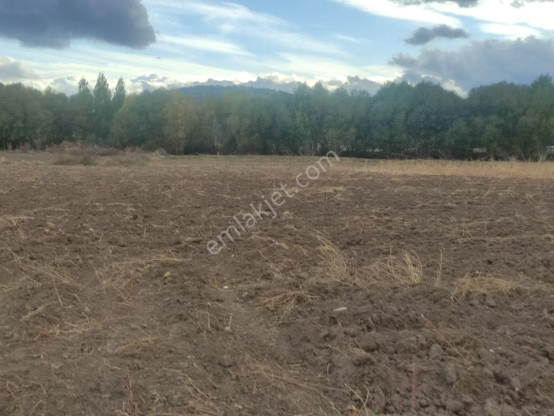 Özpınar,dan Bostandere'de Irmağa 50 Metre Sulu Tarla 4432 M² - Görsel 6
