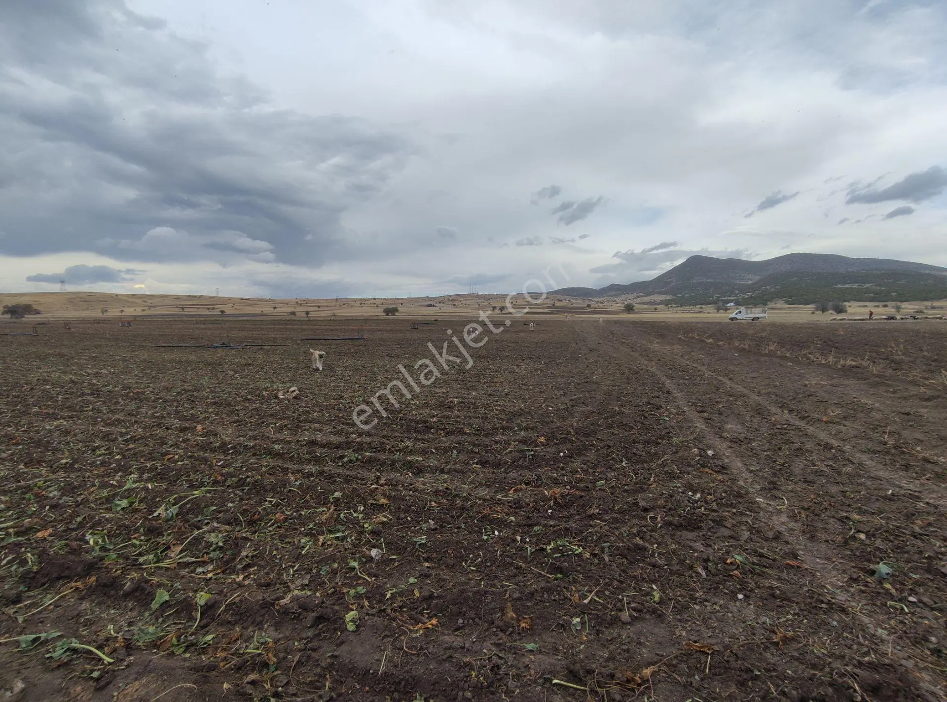 Özpınar,dan Bostandere'de Irmağa 50 Metre Sulu Tarla 4432 M² - Görsel 9
