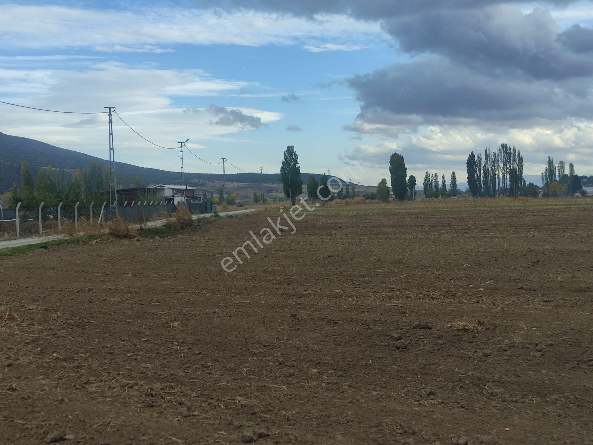 Özpınar,dan Bostandere'de Irmağa 50 Metre Sulu Tarla 4432 M² - Görsel 18