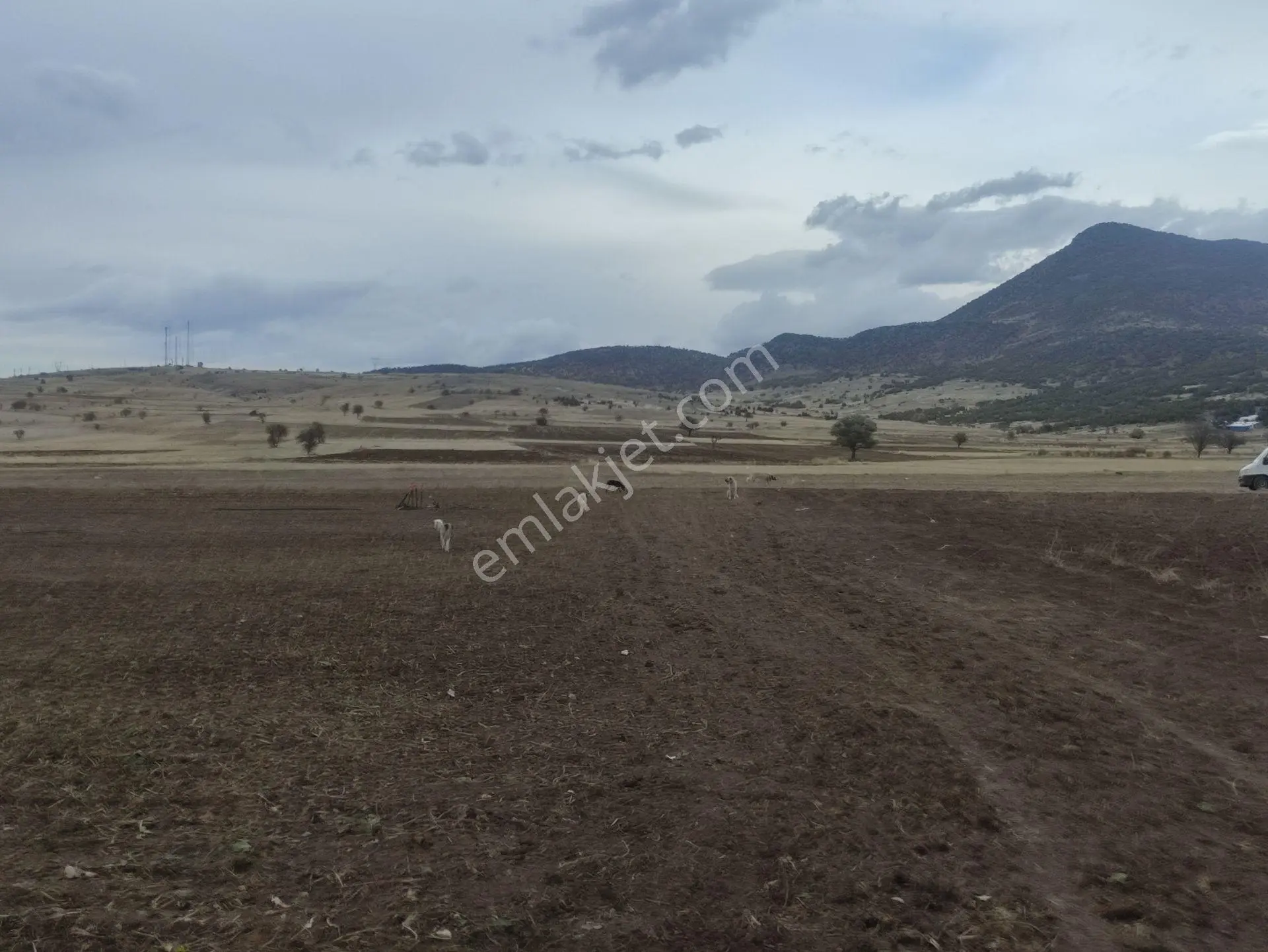 Özpınar,dan Bostandere'de Irmağa 50 Metre Sulu Tarla 4432 M² - Görsel 13