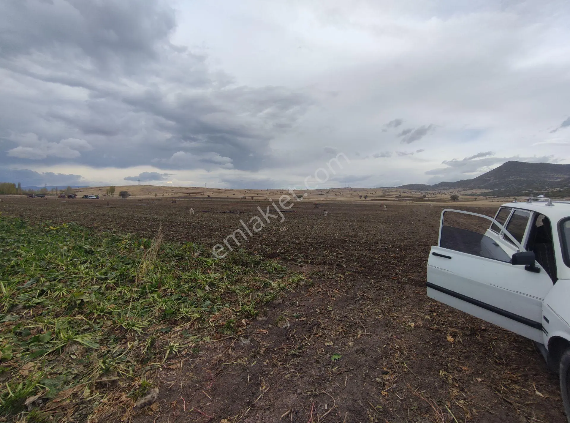 Özpınar,dan Bostandere'de Irmağa 50 Metre Sulu Tarla 4432 M² - Görsel 8