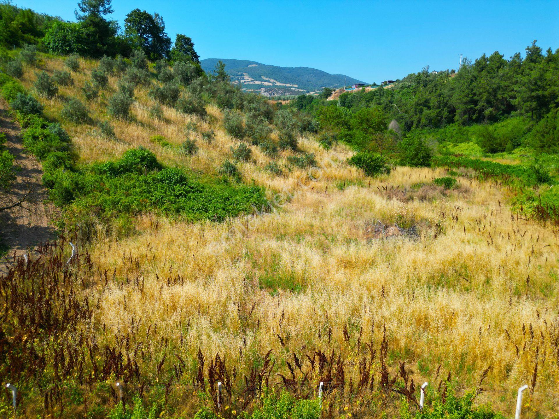 İznik Alkaya,da Satılık Arazi - Görsel 22
