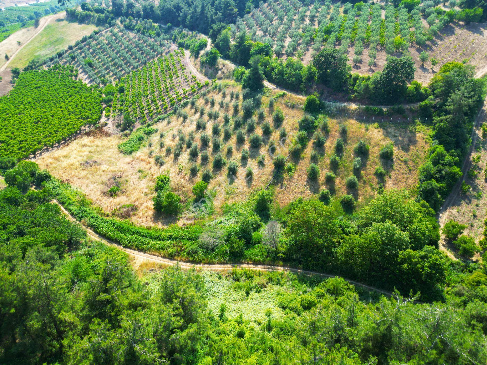 İznik Alkaya,da Satılık Arazi - Görsel 32
