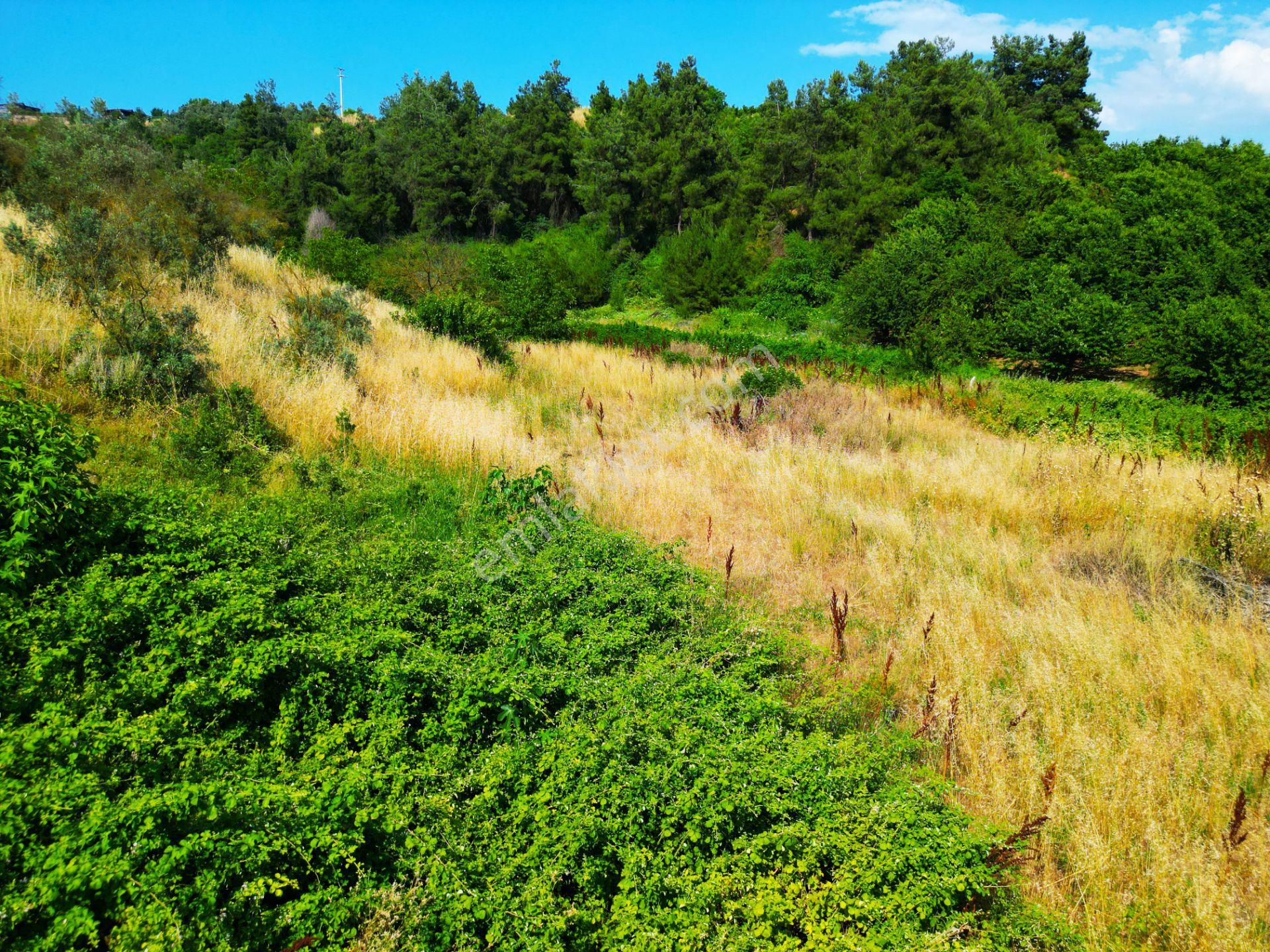 İznik Alkaya,da Satılık Arazi - Görsel 28