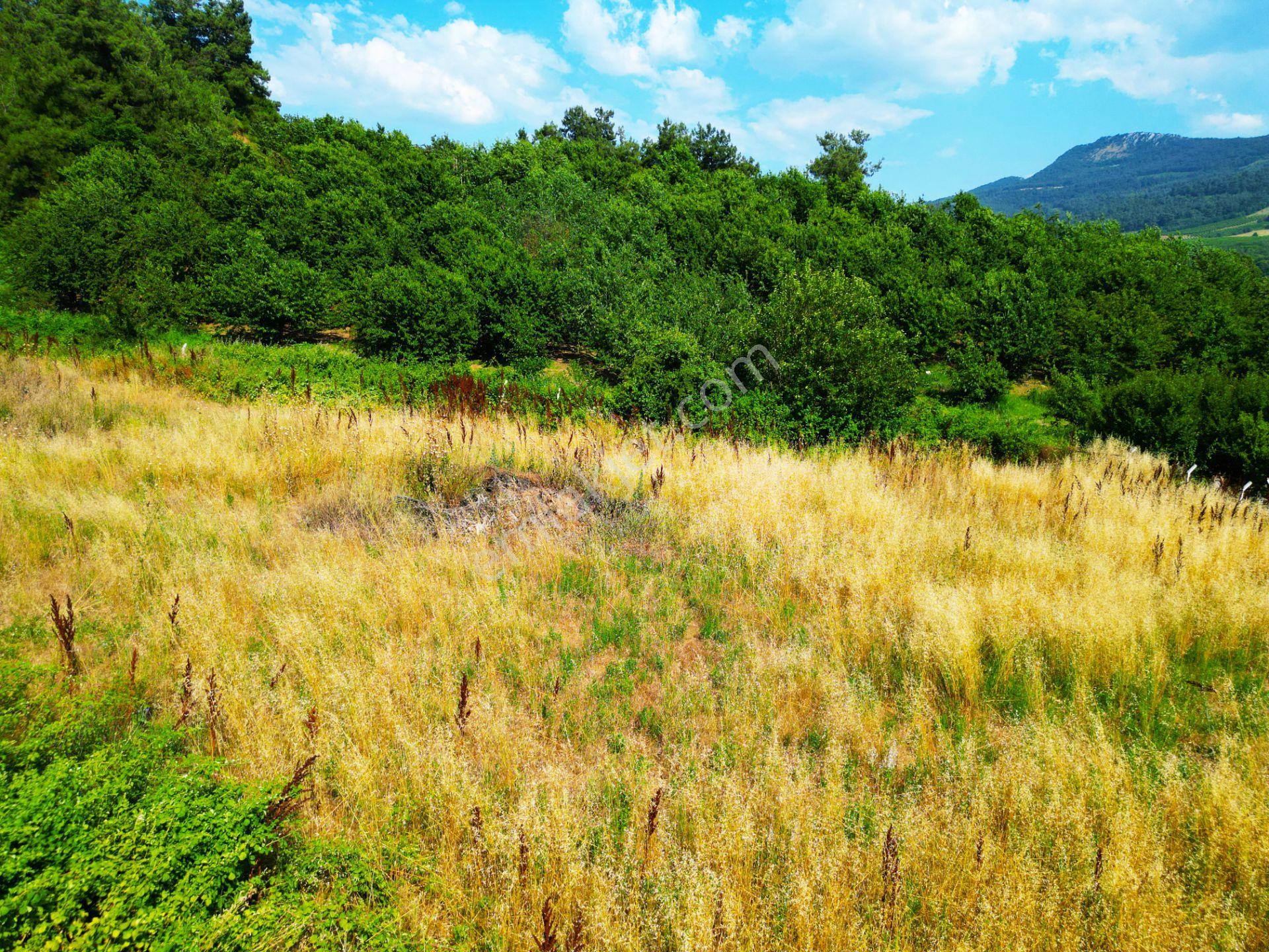 İznik Alkaya,da Satılık Arazi - Görsel 13