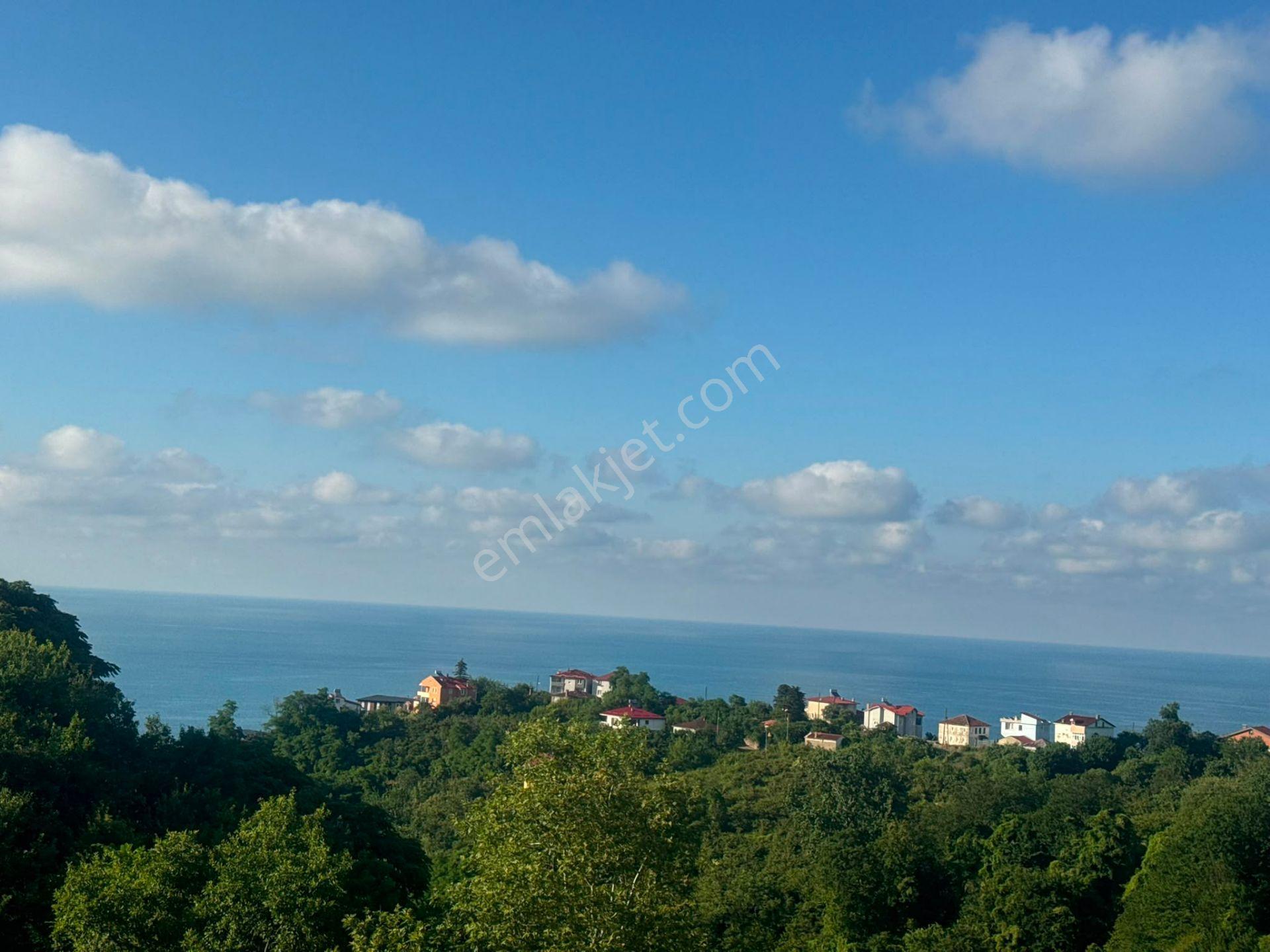 İnanç Emlaktan Giresun Bulancak Taliplide 4 Dönüm Satılık Fındık Bahçesi