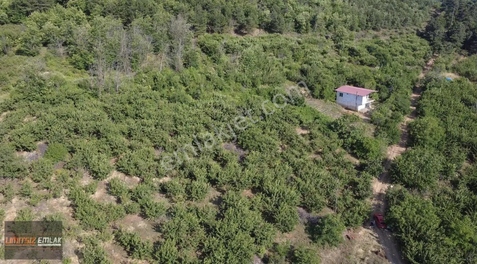 Bayındır Balcılar'da 42 Dönüm Kiraz Ve Cevizlik-3 Yıl Amortisman