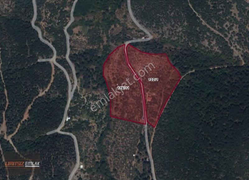 Bayındır Balcılar'da 42 Dönüm Kiraz Ve Cevizlik-3 Yıl Amortisman - Görsel 2