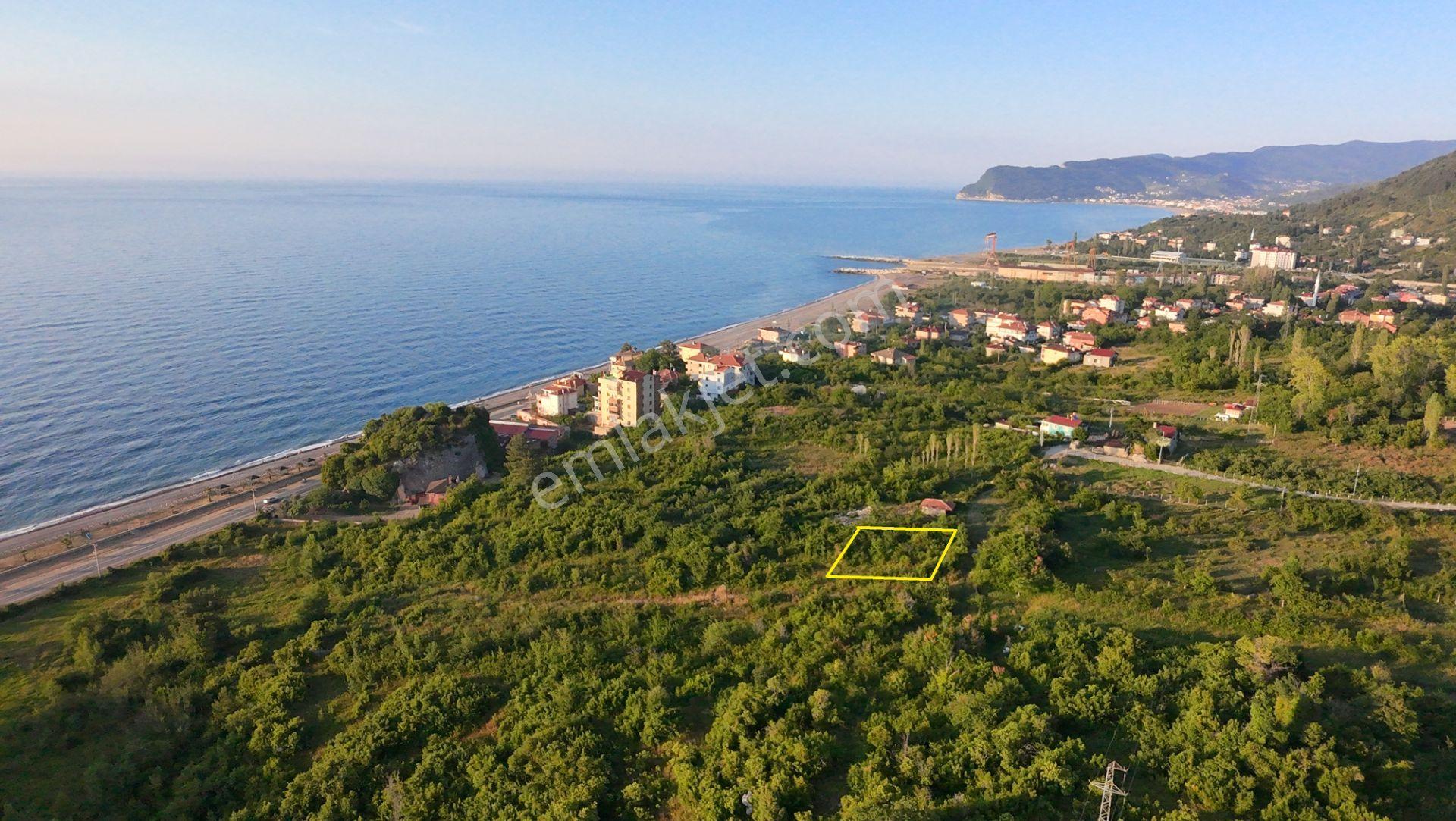 Deniz Manzaralı & Yatırımlık! Kastamonu Cide'de Satılık Arsa - Görsel 2