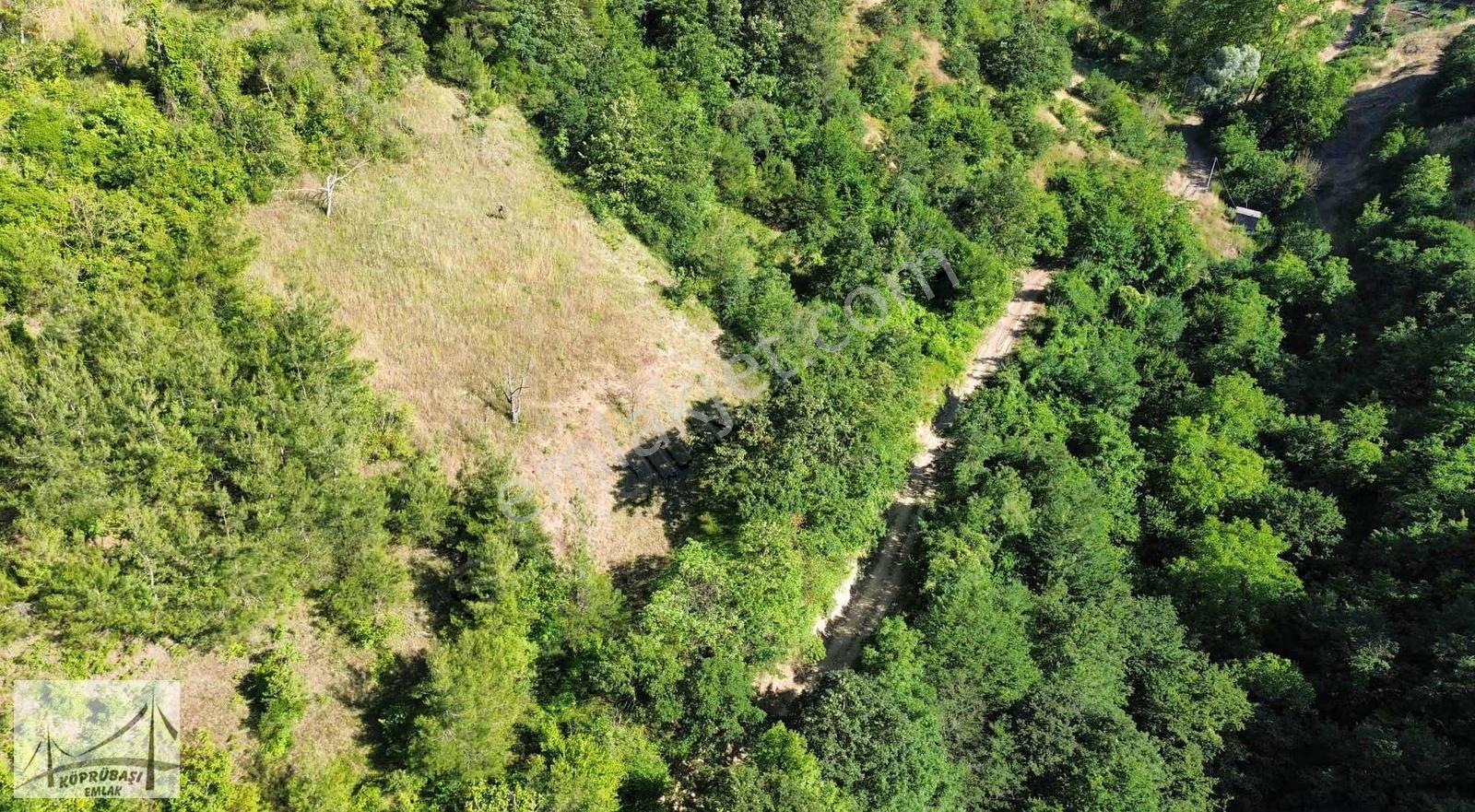 Köprübaşı Emlaktan Satılık Çamdibi Köyünde %5 İmarlı Arsa - Görsel 4