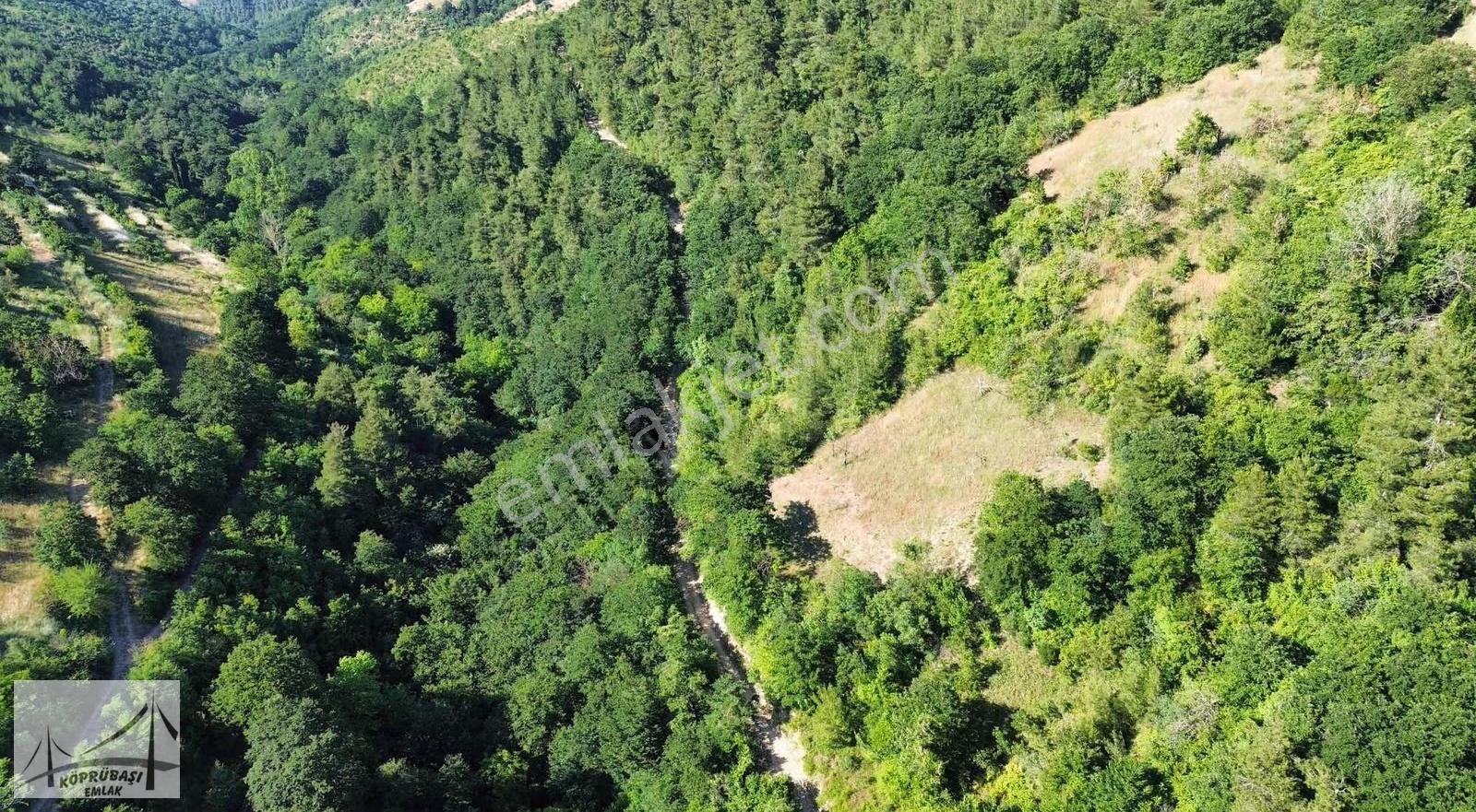 Köprübaşı Emlaktan Satılık Çamdibi Köyünde %5 İmarlı Arsa - Görsel 7