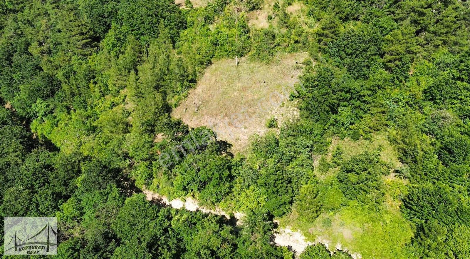 Köprübaşı Emlaktan Satılık Çamdibi Köyünde %5 İmarlı Arsa - Görsel 9