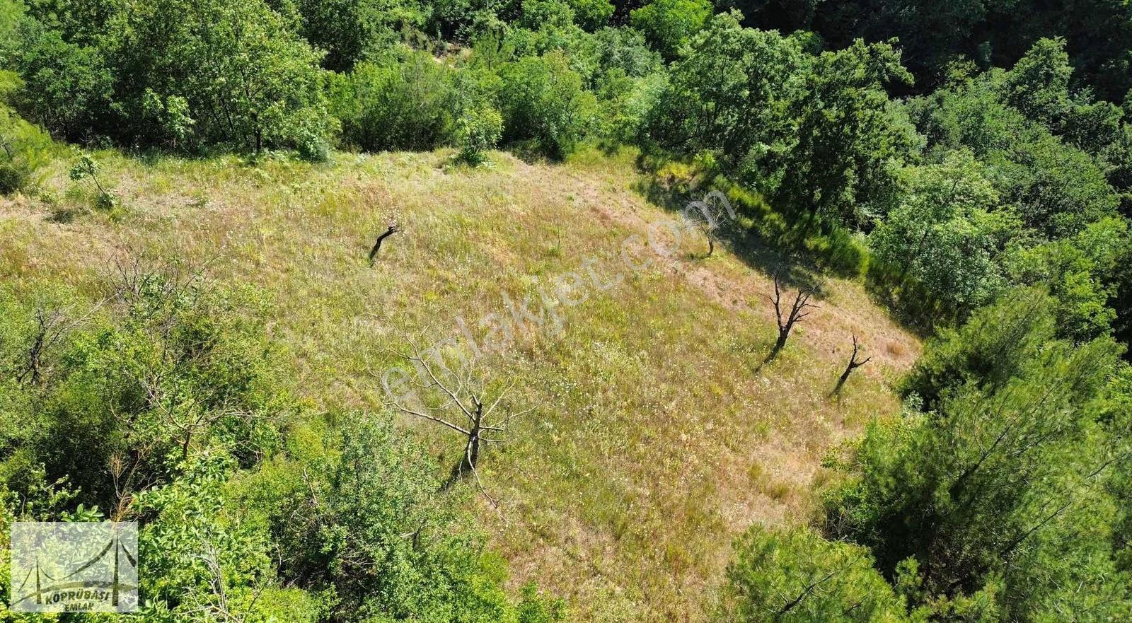 Köprübaşı Emlaktan Satılık Çamdibi Köyünde %5 İmarlı Arsa - Görsel 5