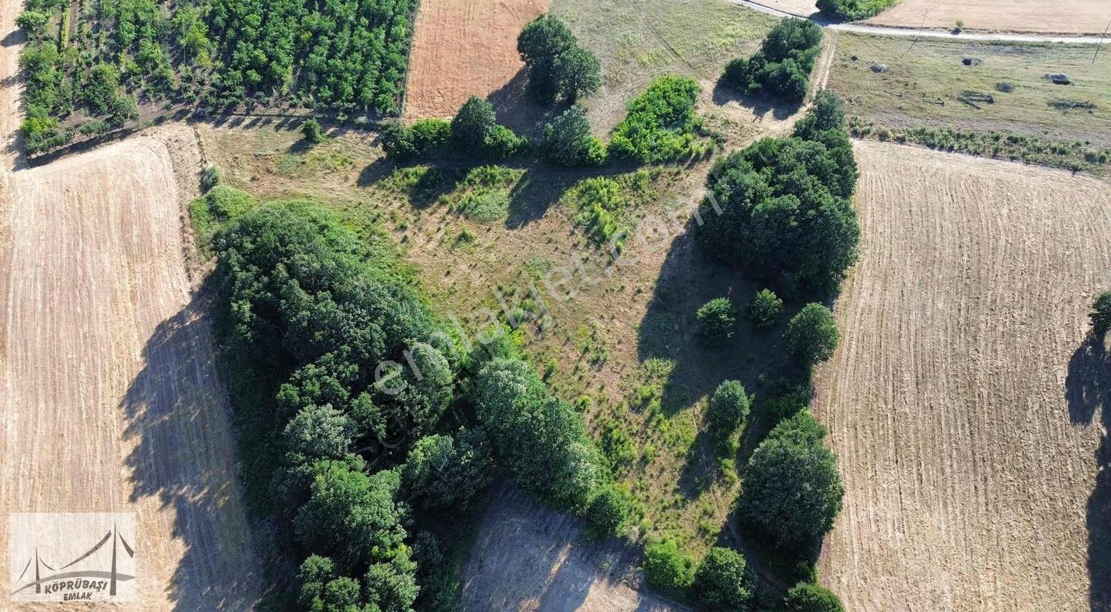 Köprübaşı Emlaktan Satılık Çamdibi Köyünde 11.675m2 Tarla - Görsel 4