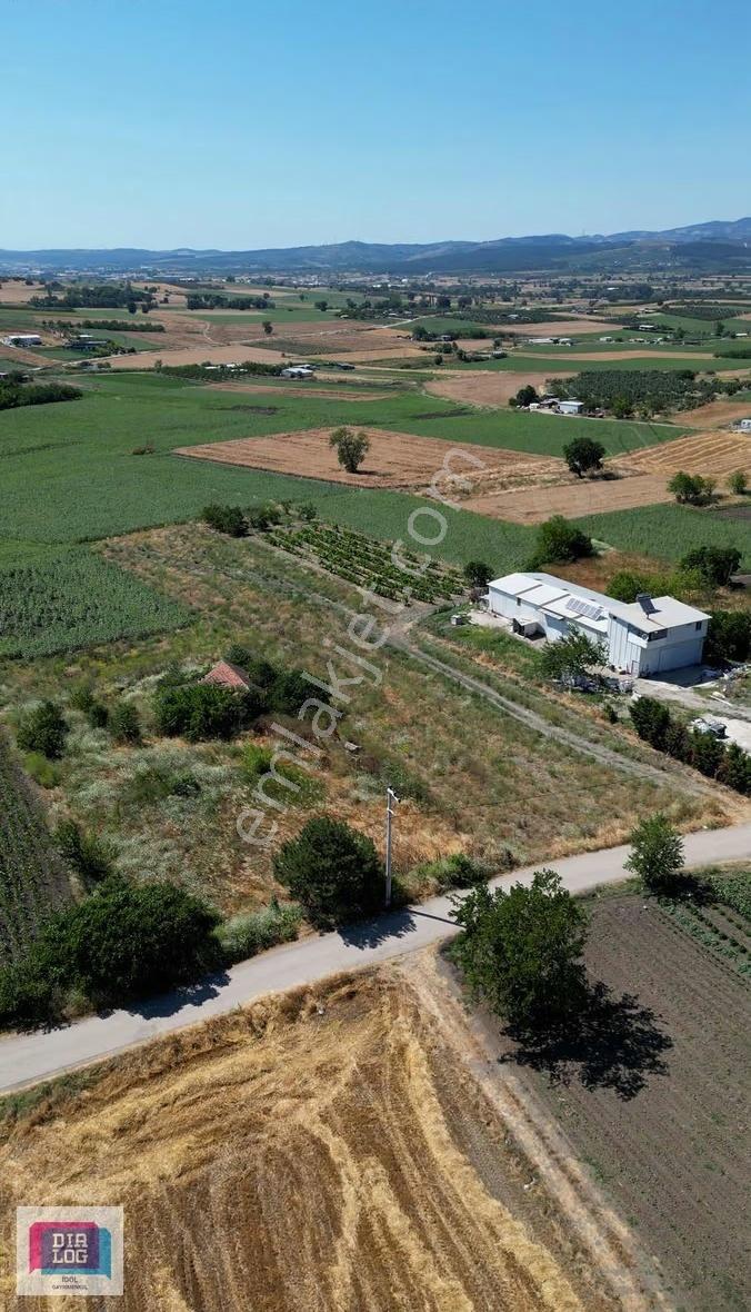 Görükle 3.839 M2 Asfalt Yola Cephe Satılık Tarla - Görsel 2
