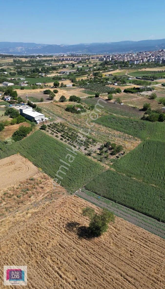 Görükle 3.839 M2 Asfalt Yola Cephe Satılık Tarla - Görsel 3