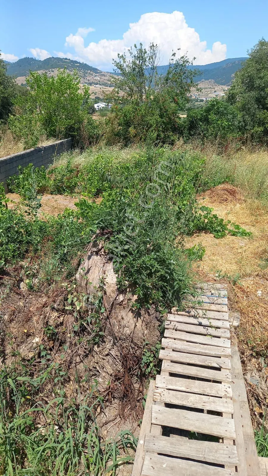 Bigadiç Yolbaşı 29 M Bahçe
