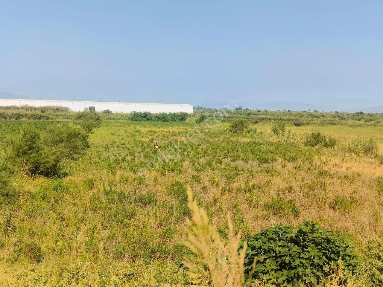 Söke'de Anayola Sıfır Satılık Tarla 10,727 M² - Görsel 2