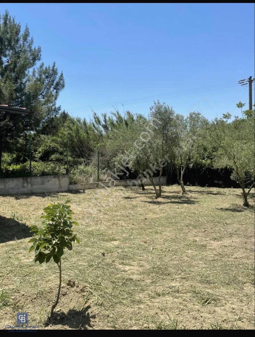 Urla Kuşçular'da İmarlı Arsa - Görsel 5