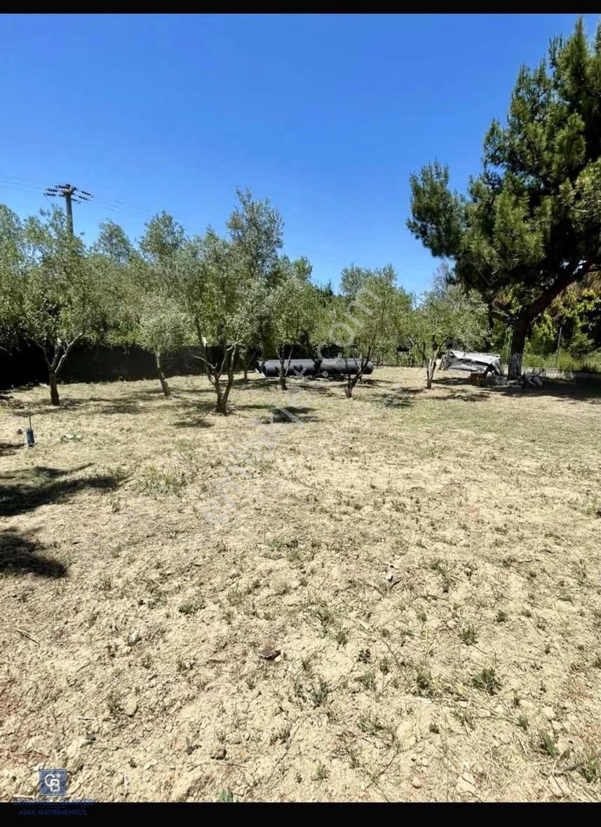 Urla Kuşçular'da İmarlı Arsa - Görsel 3