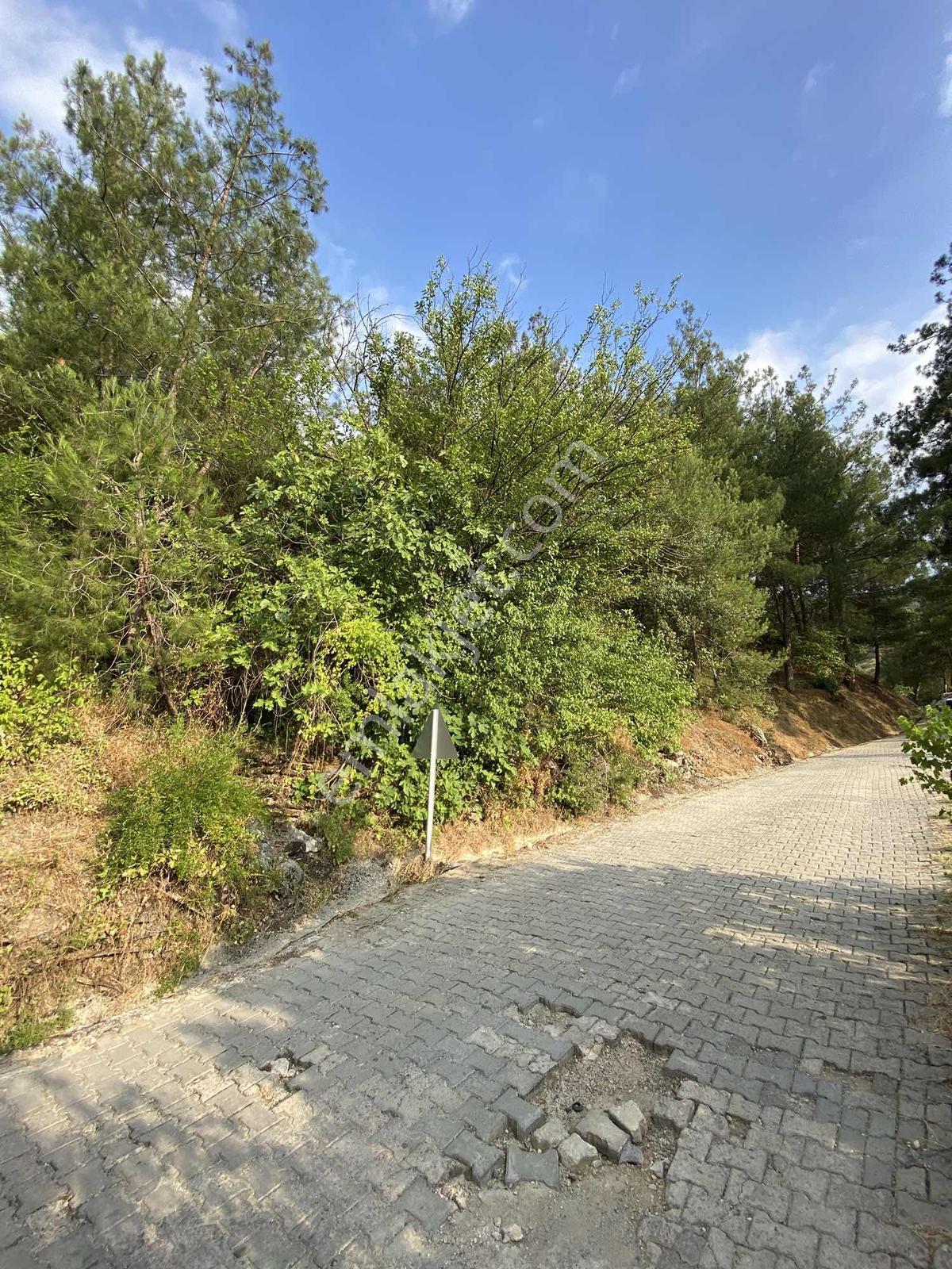 Kozangayrimenkul'den Feke'de İmarlı Arsa - Görsel 3