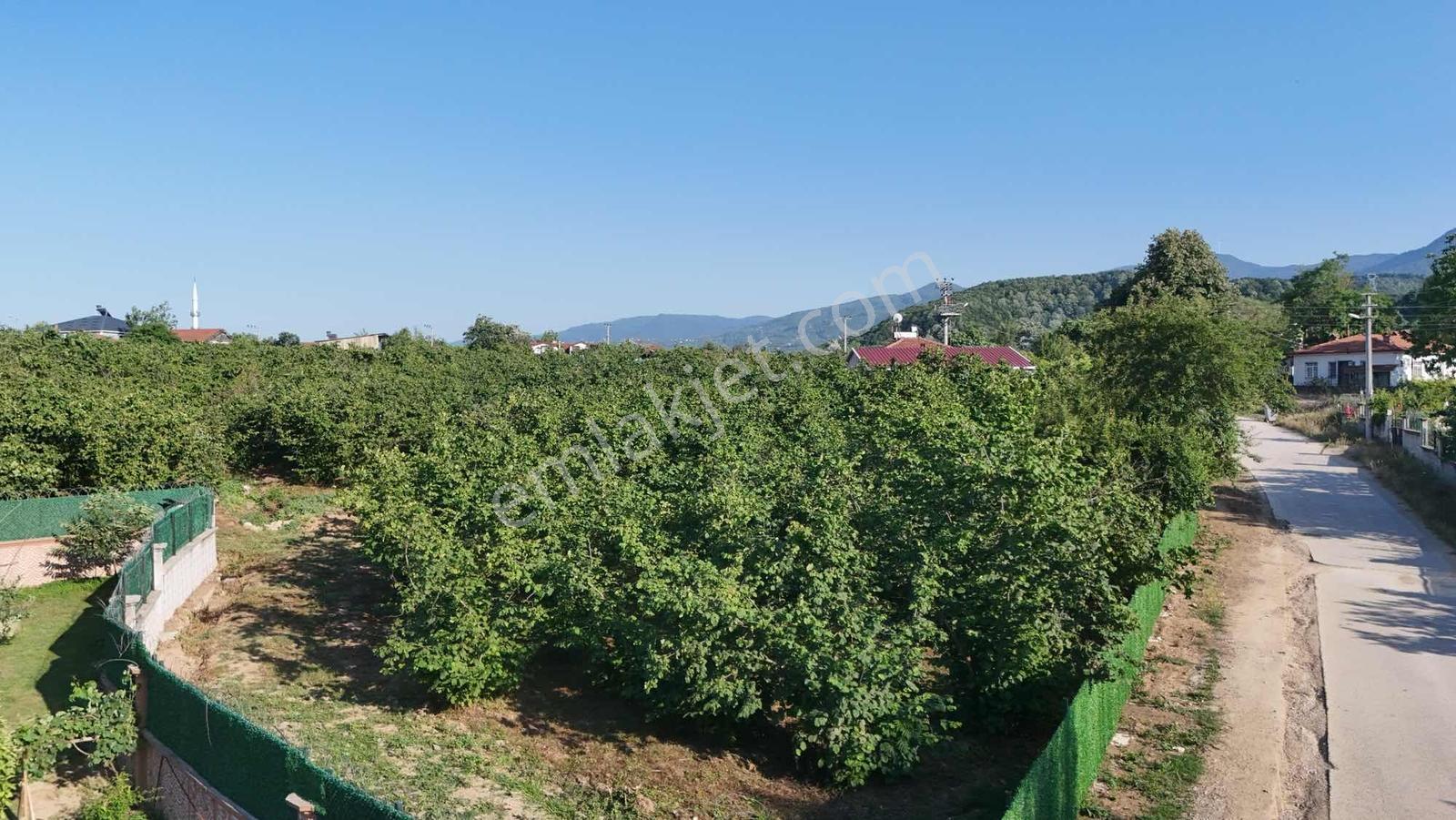Yön Group'tan Karapürçek'te Satılık İmarlı Arsa - Görsel 3