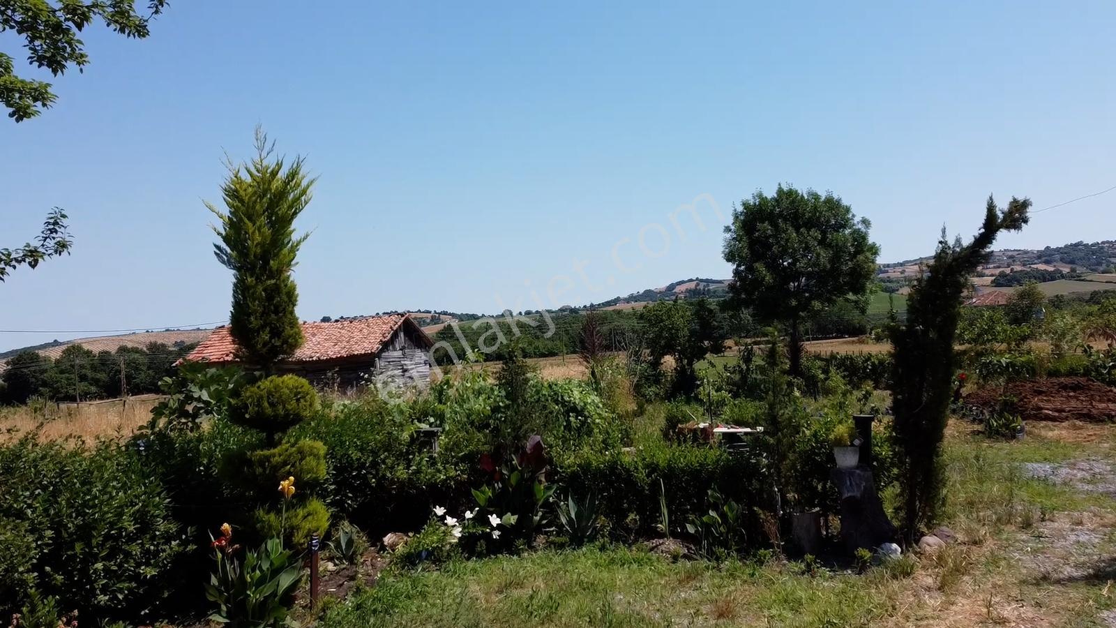 Doğa İçinde 3162m2 Satılık 2 Katlı Müstakil Ev Ve Arazi - Görsel 3