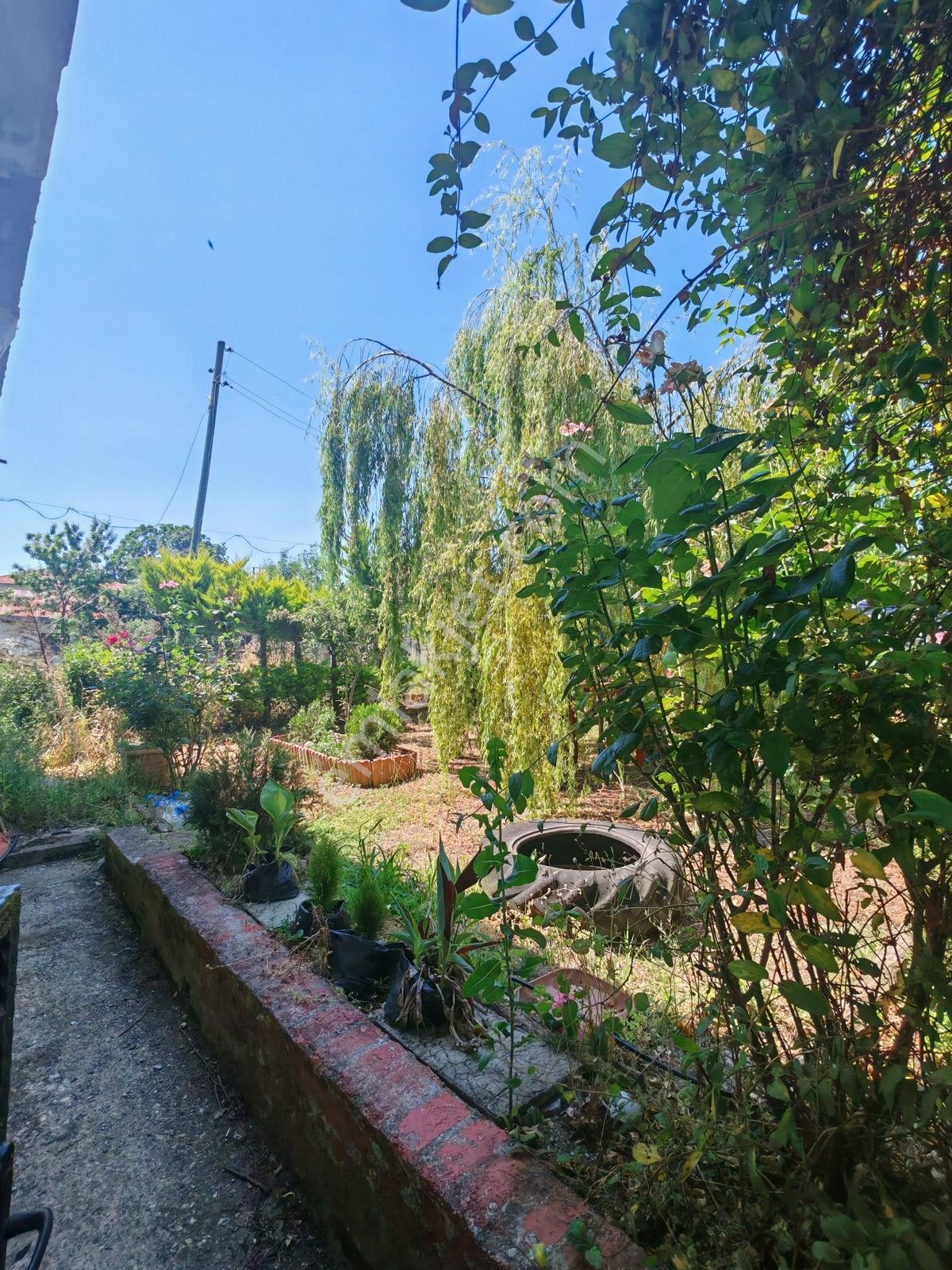 Doğa İçinde 3162m2 Satılık 2 Katlı Müstakil Ev Ve Arazi - Görsel 26