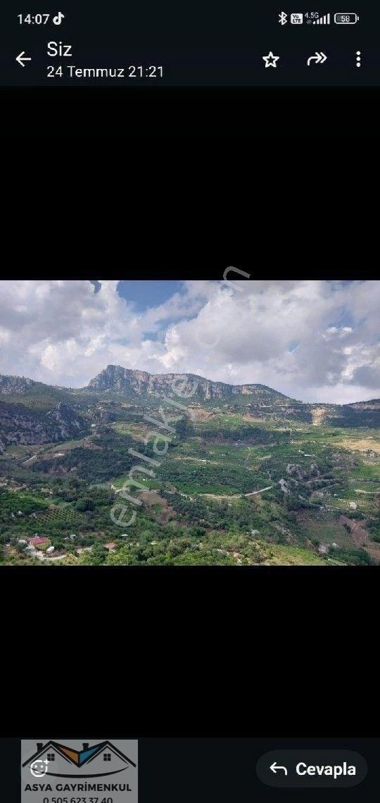 Asya' Dan Yenişehir Çukurkeşlik Tek Tapu - Görsel 7