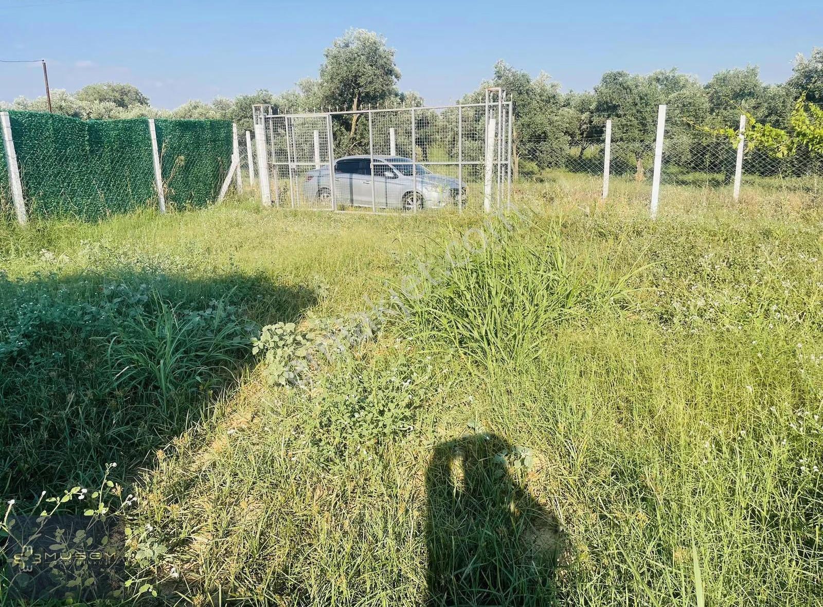 İncirliova Sınırteke'de Satılık Hobi Bahçesi - Görsel 10