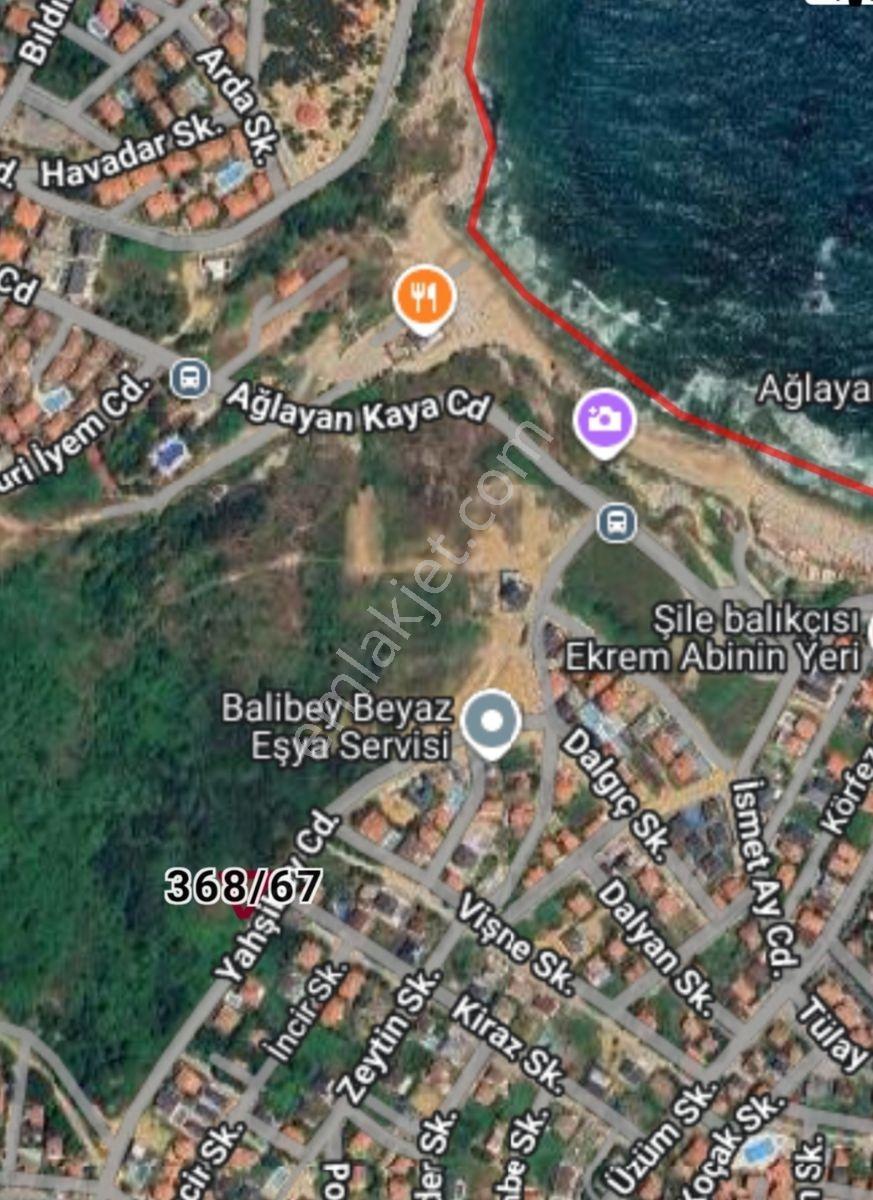 Şile Ağlayankaya'da Satılık 500 M2 Deniz Manzaralı Arsa