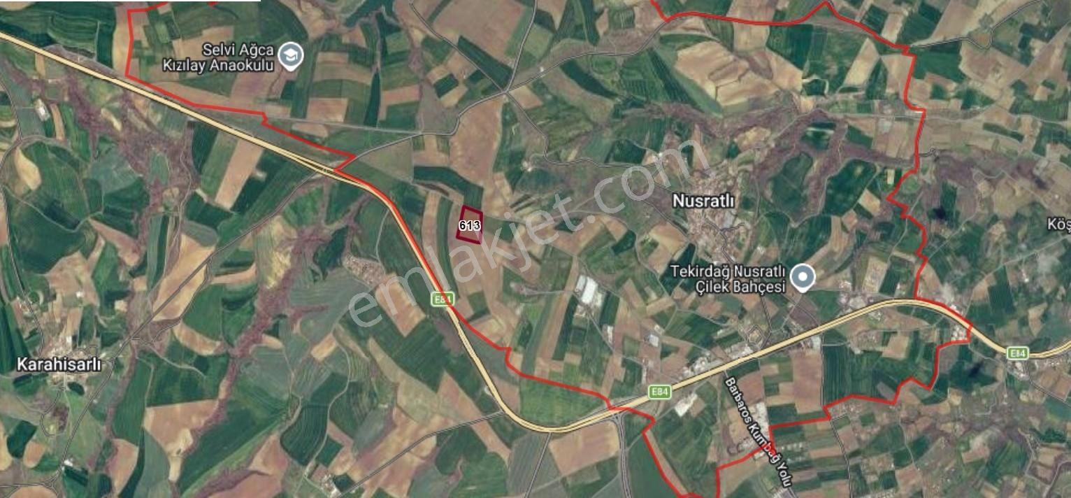 Tekirdağ Nusratlı'da Deniz Manzaralı Üzüm Bağı - Görsel 7