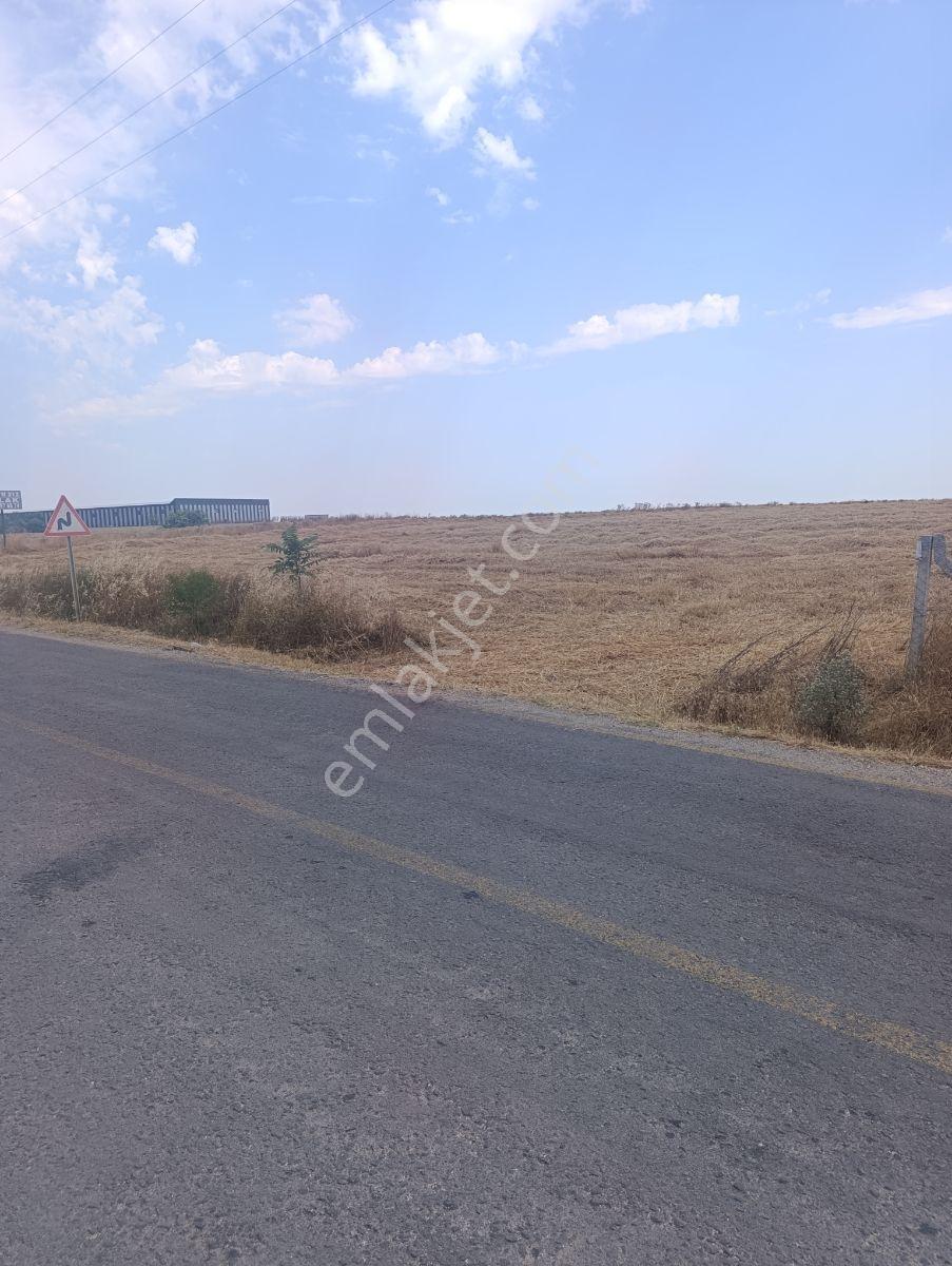 Tekirdağ Saray İmar İçi Elektrik Su Başında - Görsel 14