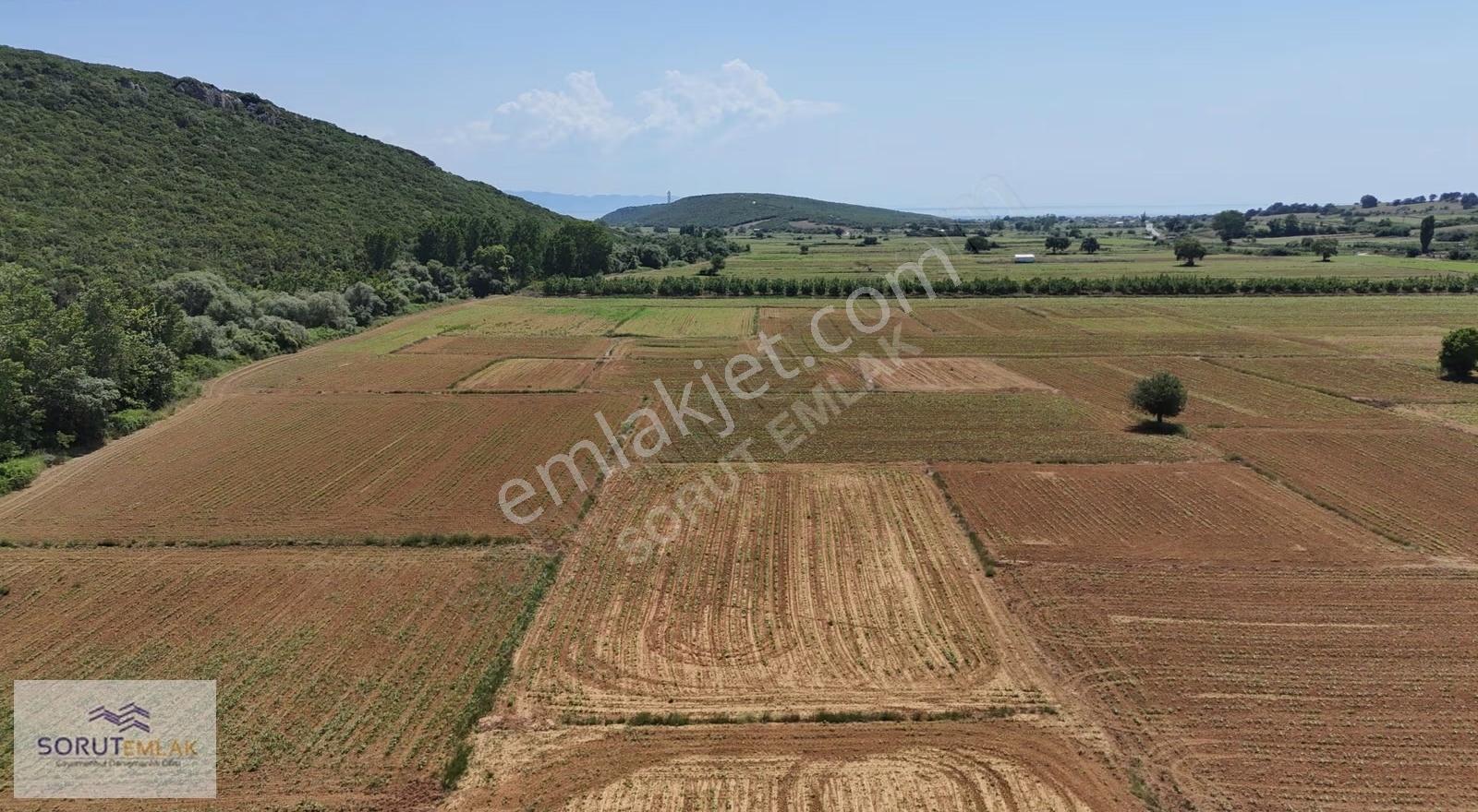 Mecidiye'de Geleceğe Yatırım 1.352 M² Satılık Tarla - Görsel 7