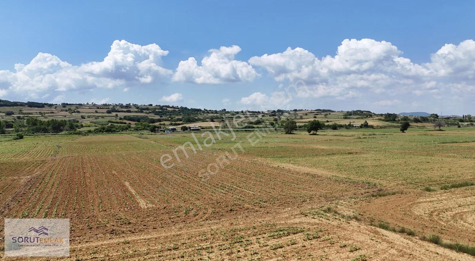 Mecidiye'de Geleceğe Yatırım 1.352 M² Satılık Tarla - Görsel 11