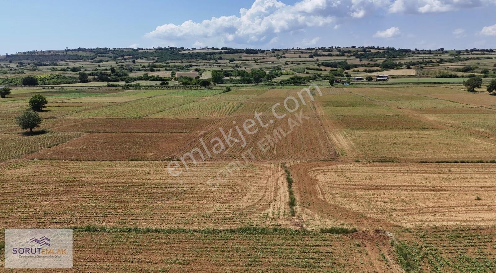 Mecidiye'de Geleceğe Yatırım 1.352 M² Satılık Tarla - Görsel 15