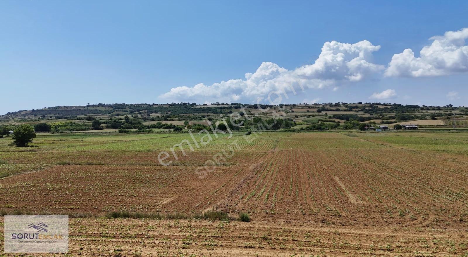 Mecidiye'de Geleceğe Yatırım 1.352 M² Satılık Tarla - Görsel 6