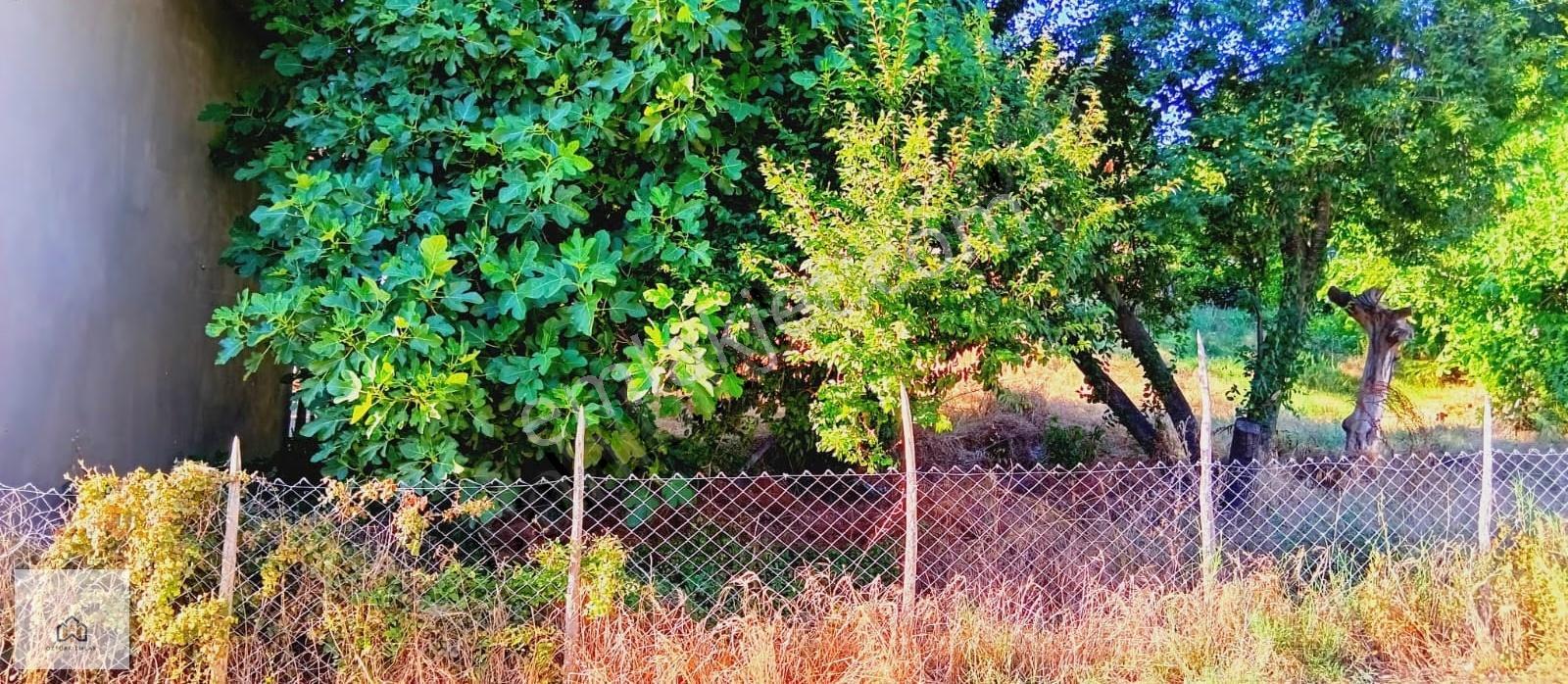 Lapseki Çavuşköyde İmarlı 330 M2 Satılık Arsa - Görsel 2