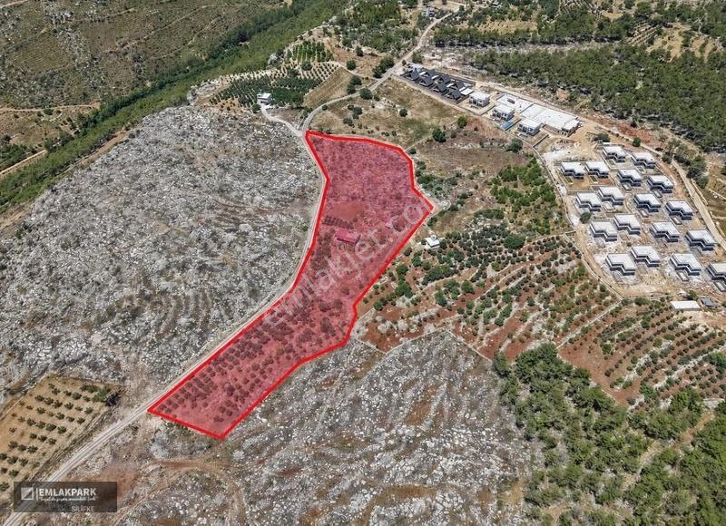 Emlakparkdan Kayabaşında Deniz Manzaralı 13.500 M² Arazi - Görsel 3